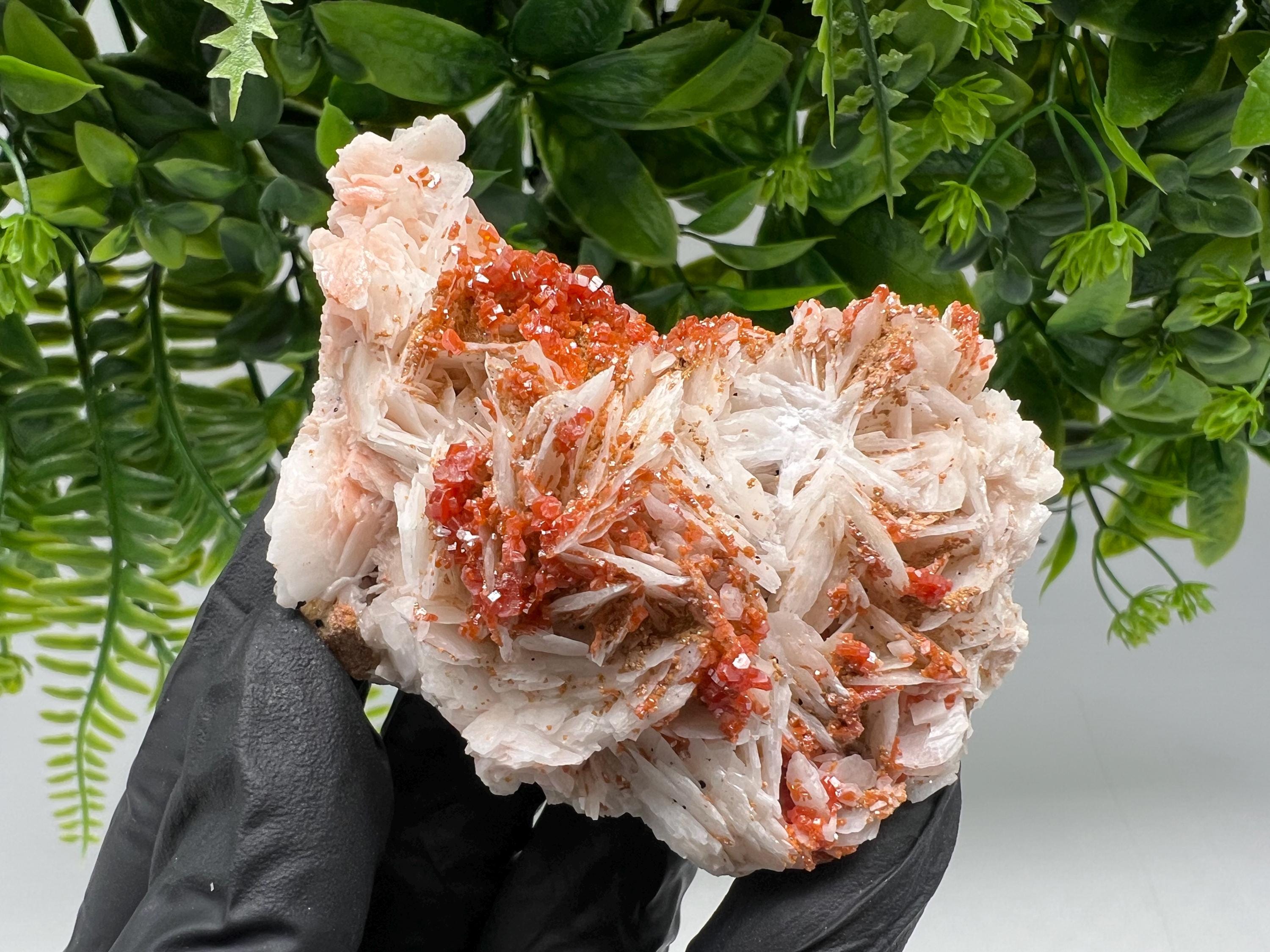 Red Vanadinite on Barite from Marocco,crystal minerals Speciment cluster Vanadinite crystal Vanadinite Geology Vanadinite cluster minerals