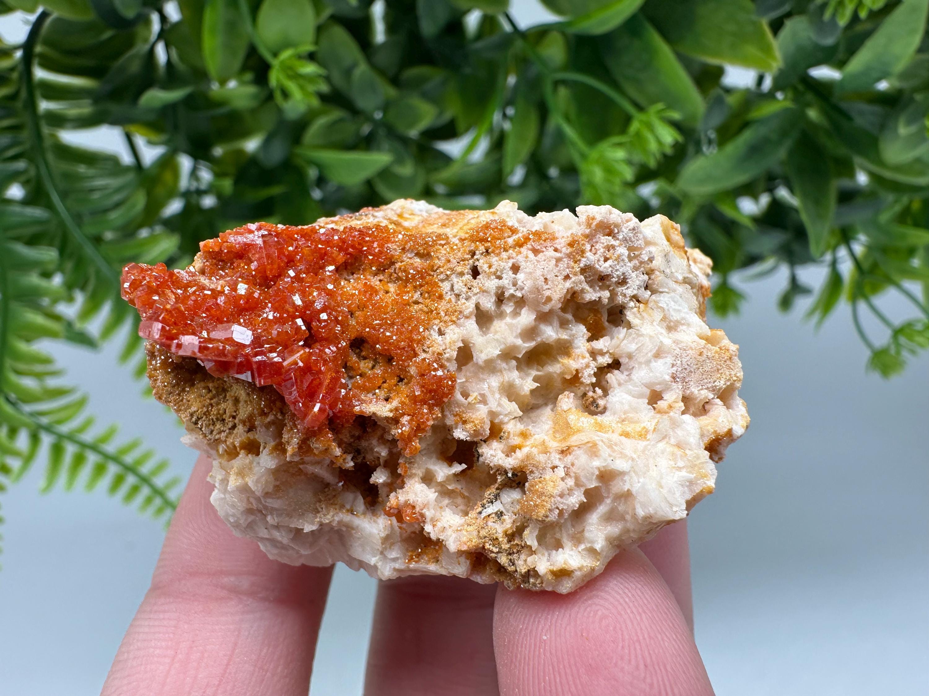 Red Vanadinite on Barite from Marocco,crystal minerals Speciment cluster Vanadinite crystal Vanadinite Geology Vanadinite cluster minerals