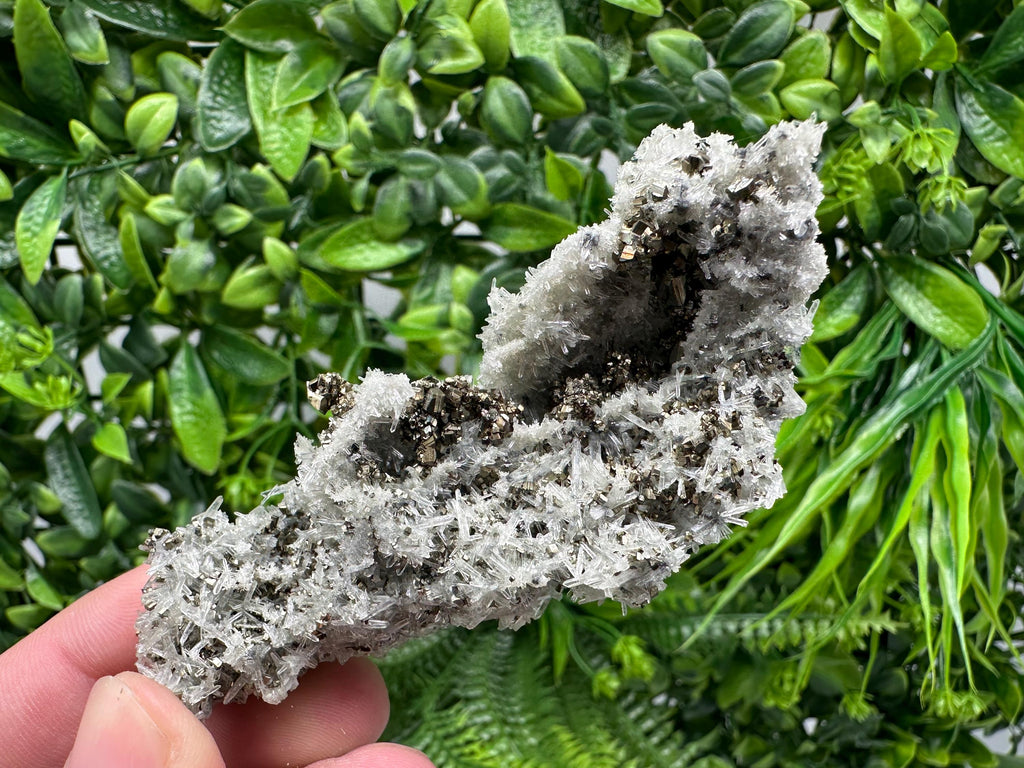 Pyrite on Needle Quartz, Madan Bulgaria, Collection Mineral Specimen