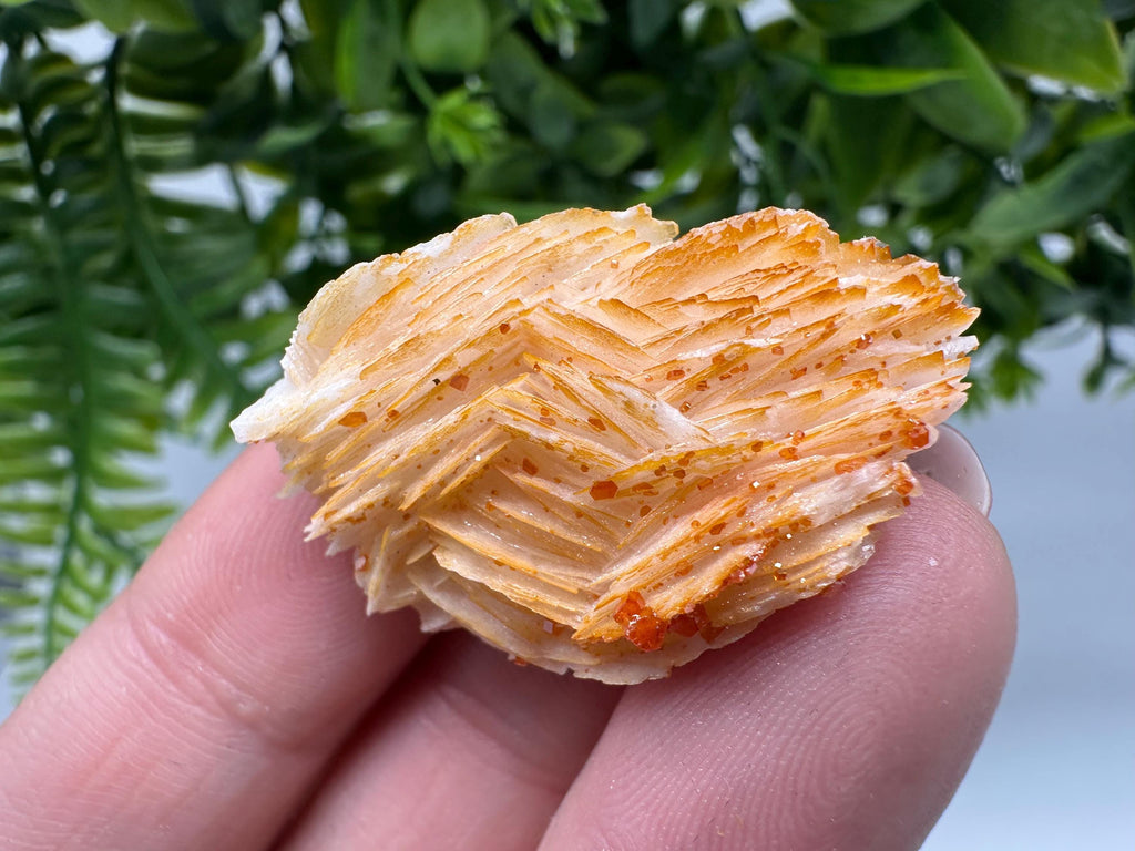 Red Vanadinite on Barite Cluster, Moroccan Crystal Specimen