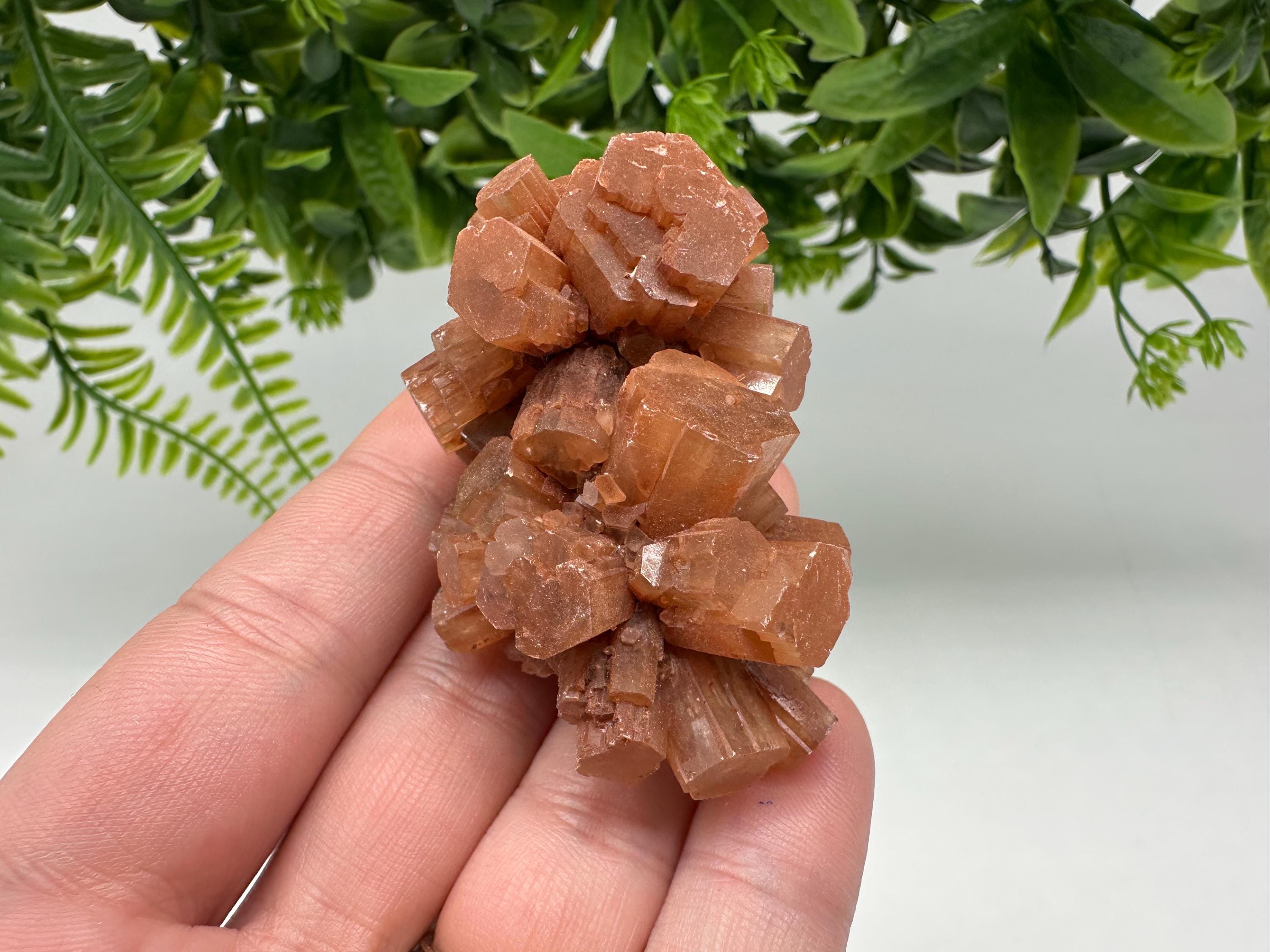Aragonite Sputnik Cluster: Raw Moroccan Crystal Stone, Home Decor