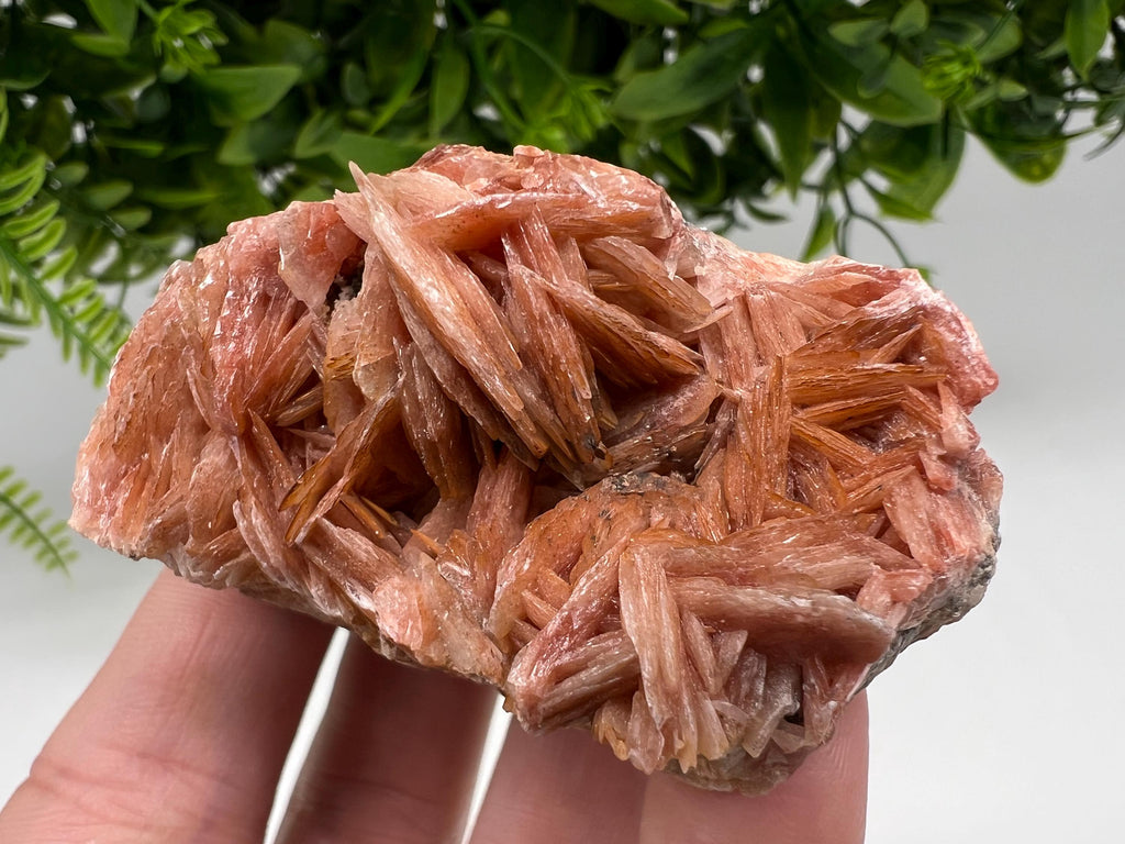 Wonderful Baryte with Cerussite on Galena from Morocco,Crystal, Mineral,Specimen,Cluster,Crystals,Barite Crystal,Cerussite Crystal,Specimen