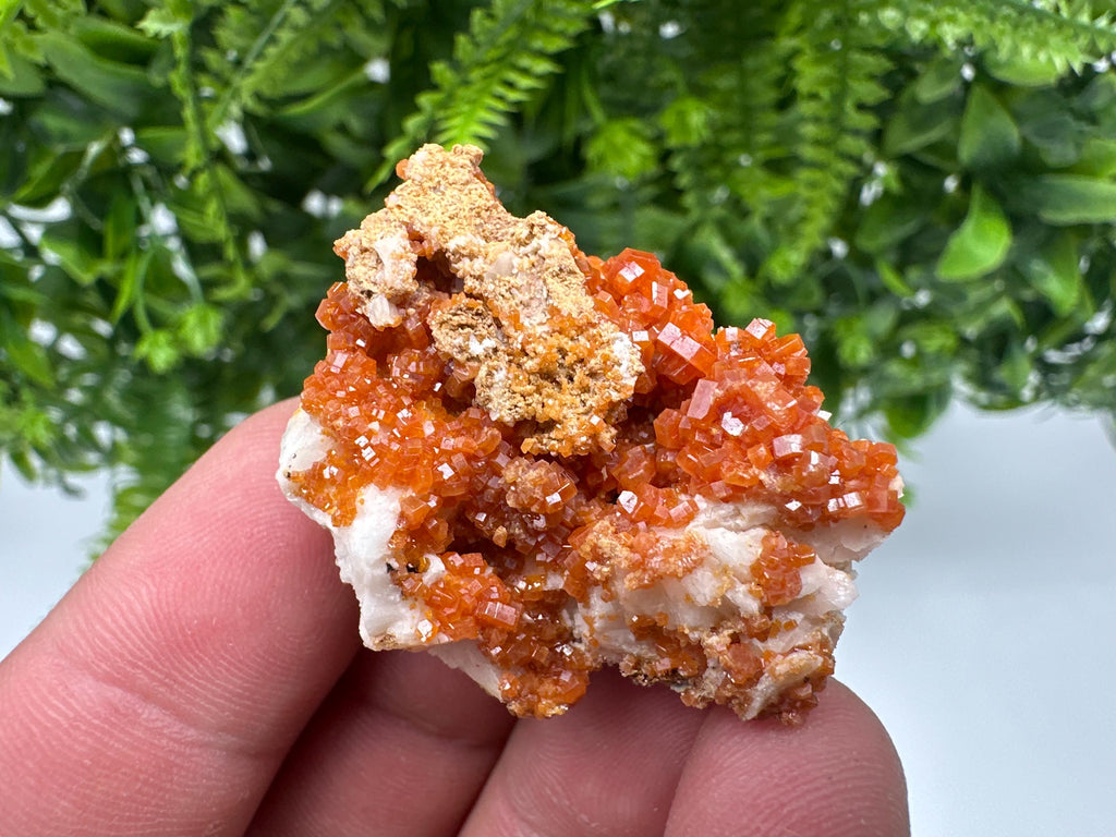Red Vanadinite on Barite, Morocco Crystal Specimen