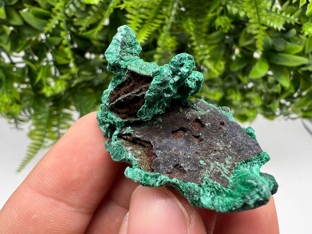 Malachite Crystal from Congo,Minerals,Crystals from Congo,Green Malachite, Malachite,Natural Malachite,Malachite Stone,Chakra, Specimens