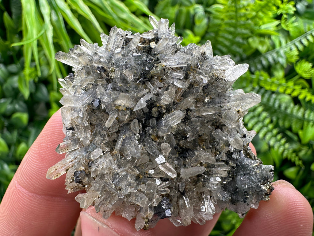 Pyrite Galena on Green Quartz, Chlorite Mineral Specimen, Bulgaria