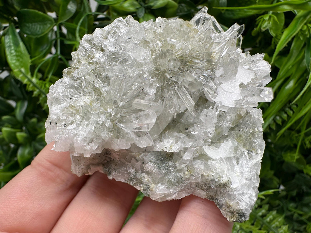 Quartz Calcite on Chlorite Matrix, Rare Mineral Specimen, Bulgaria