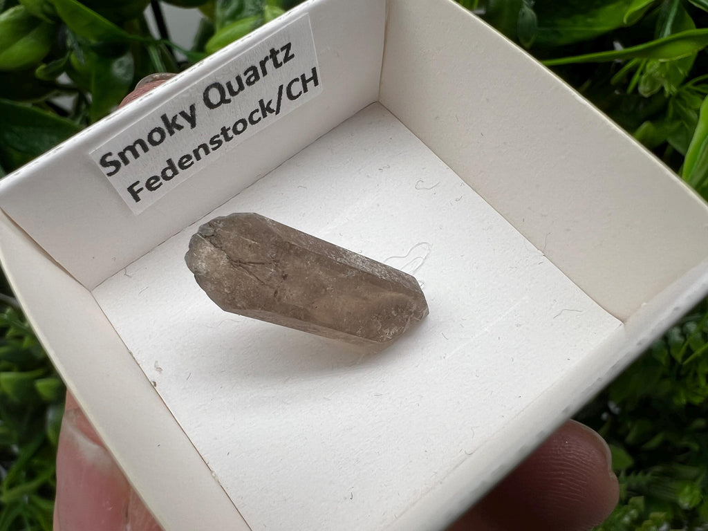 Rare Fedenstock Smoky Quartz Point, Swiss Mineral Specimen (25 MM)