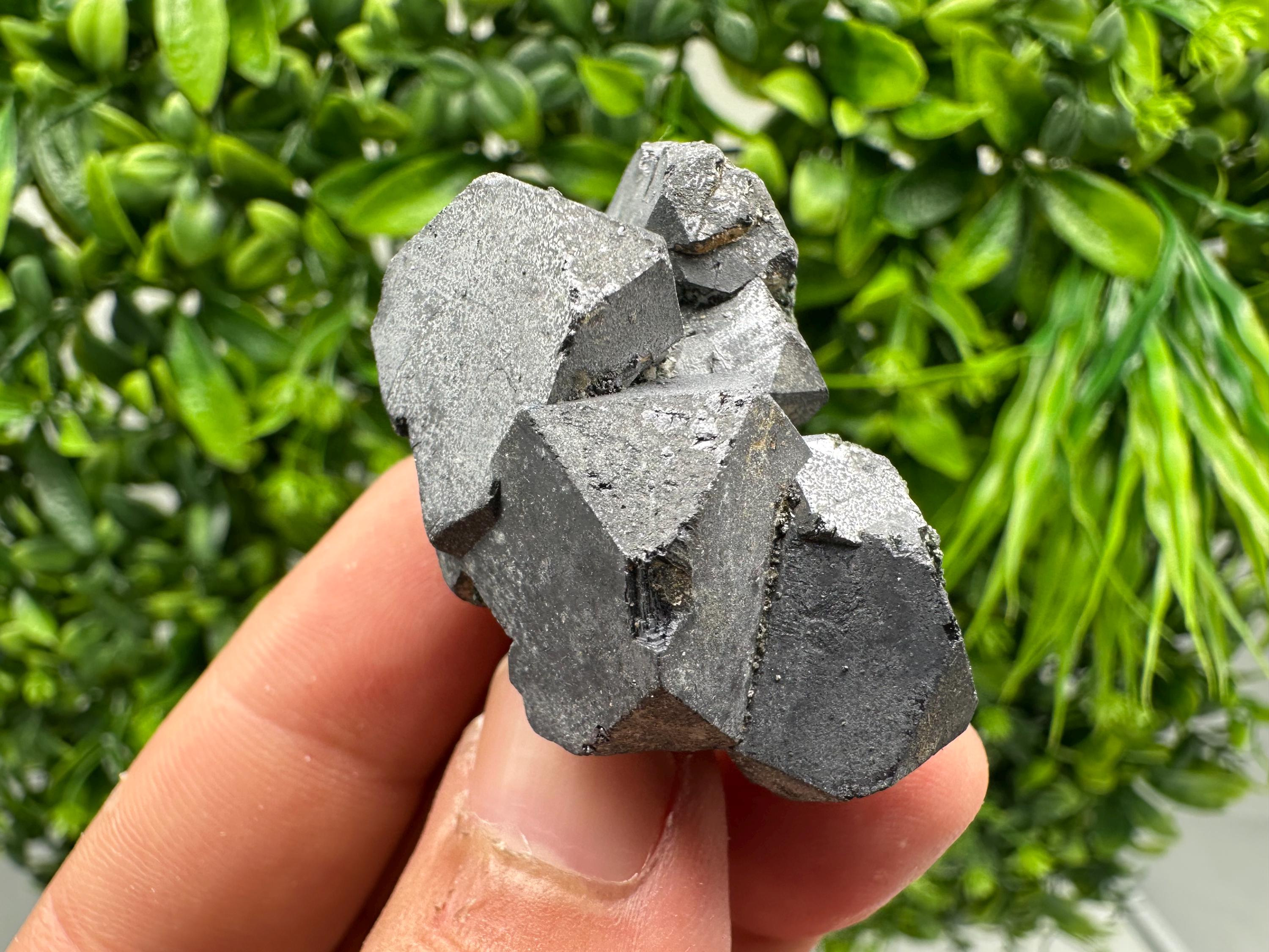 Shiny Galena Cluster, Borieva Mine, Madan, Bulgaria