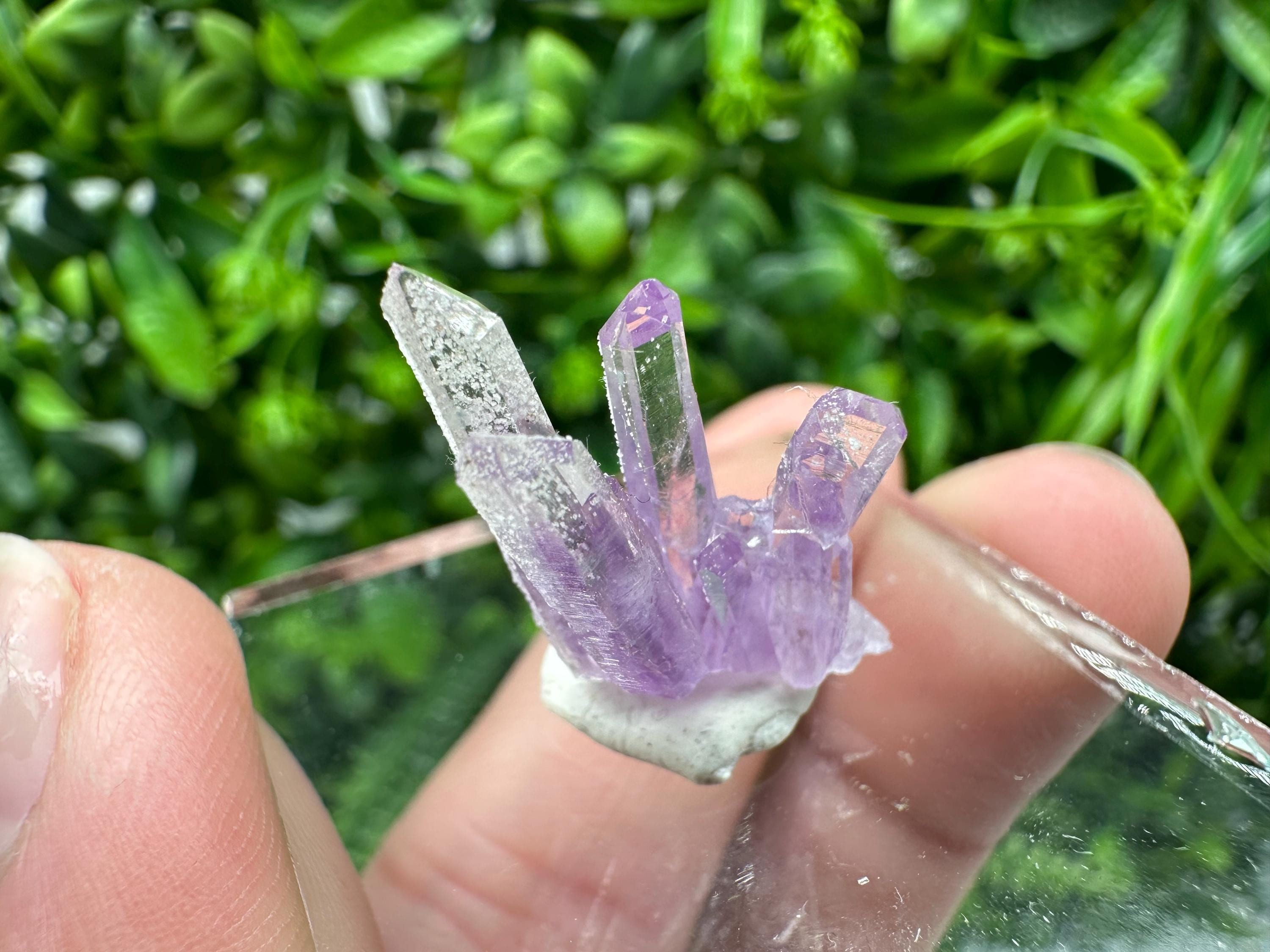 Phantom Amethyst Crystal with Cerussite, Bulgarian Mineral Specimen