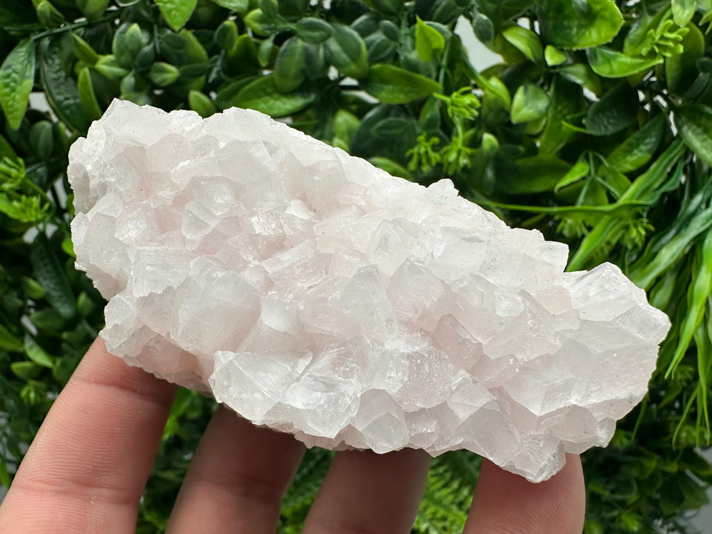 UV Reactive Mangano Calcite Crystal: Androvo Mine, Bulgaria