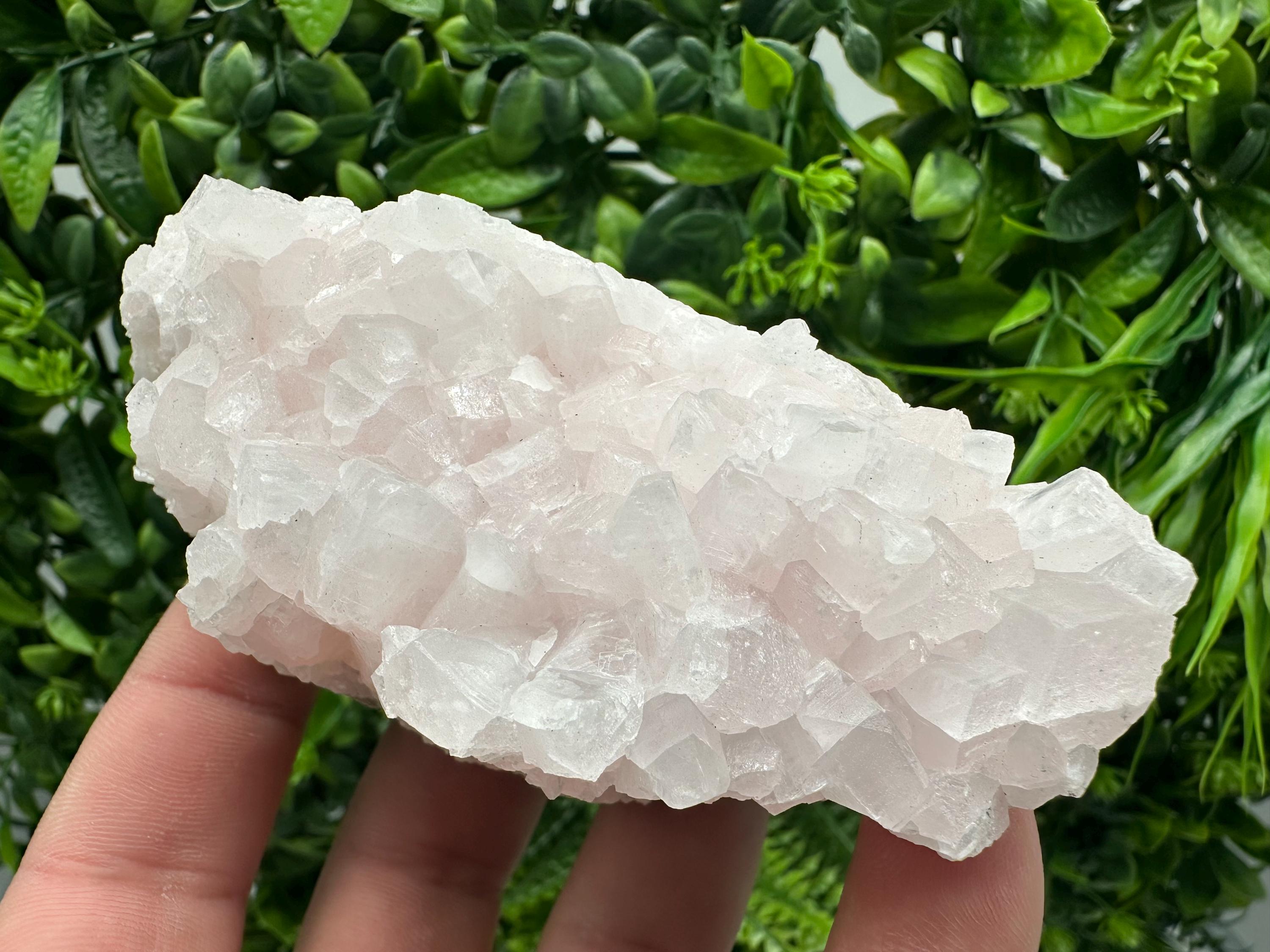 UV Reactive Mangano Calcite Crystal: Androvo Mine, Bulgaria