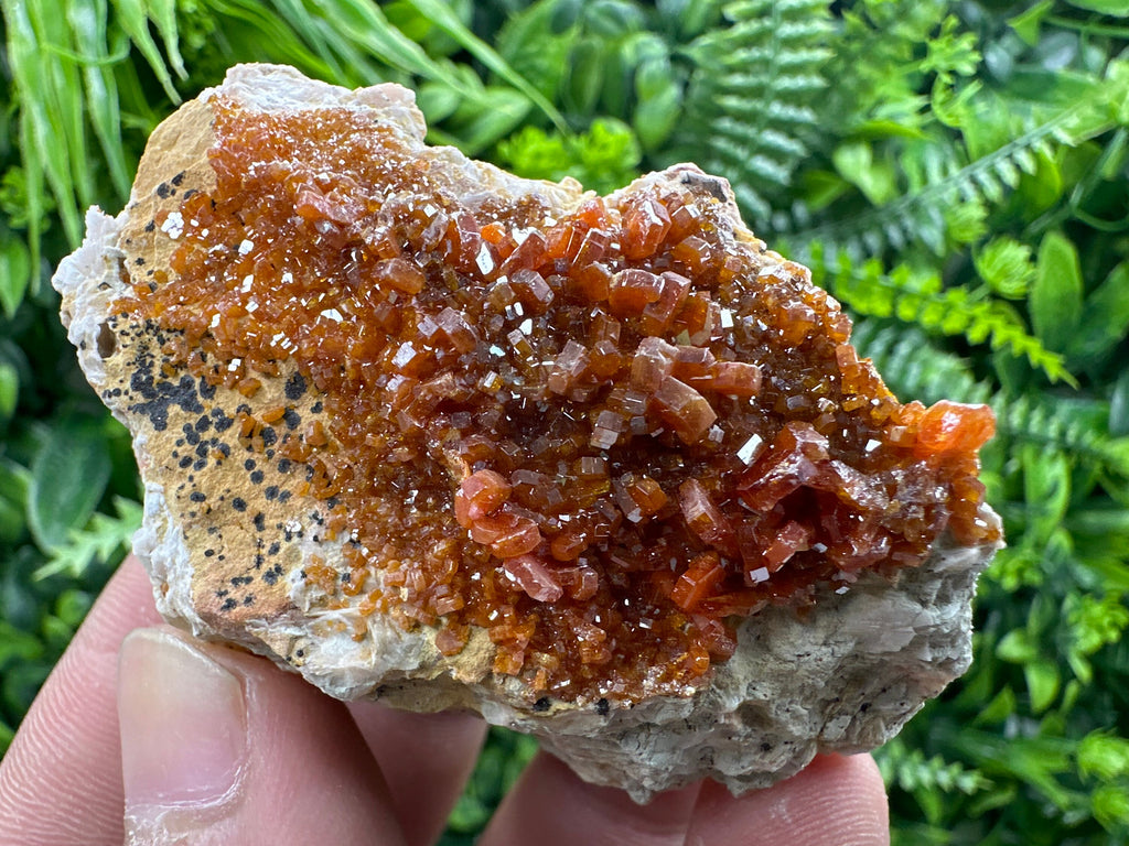 Red Vanadinite Crystal Cluster on Matrix, Morocco Mineral Specimen
