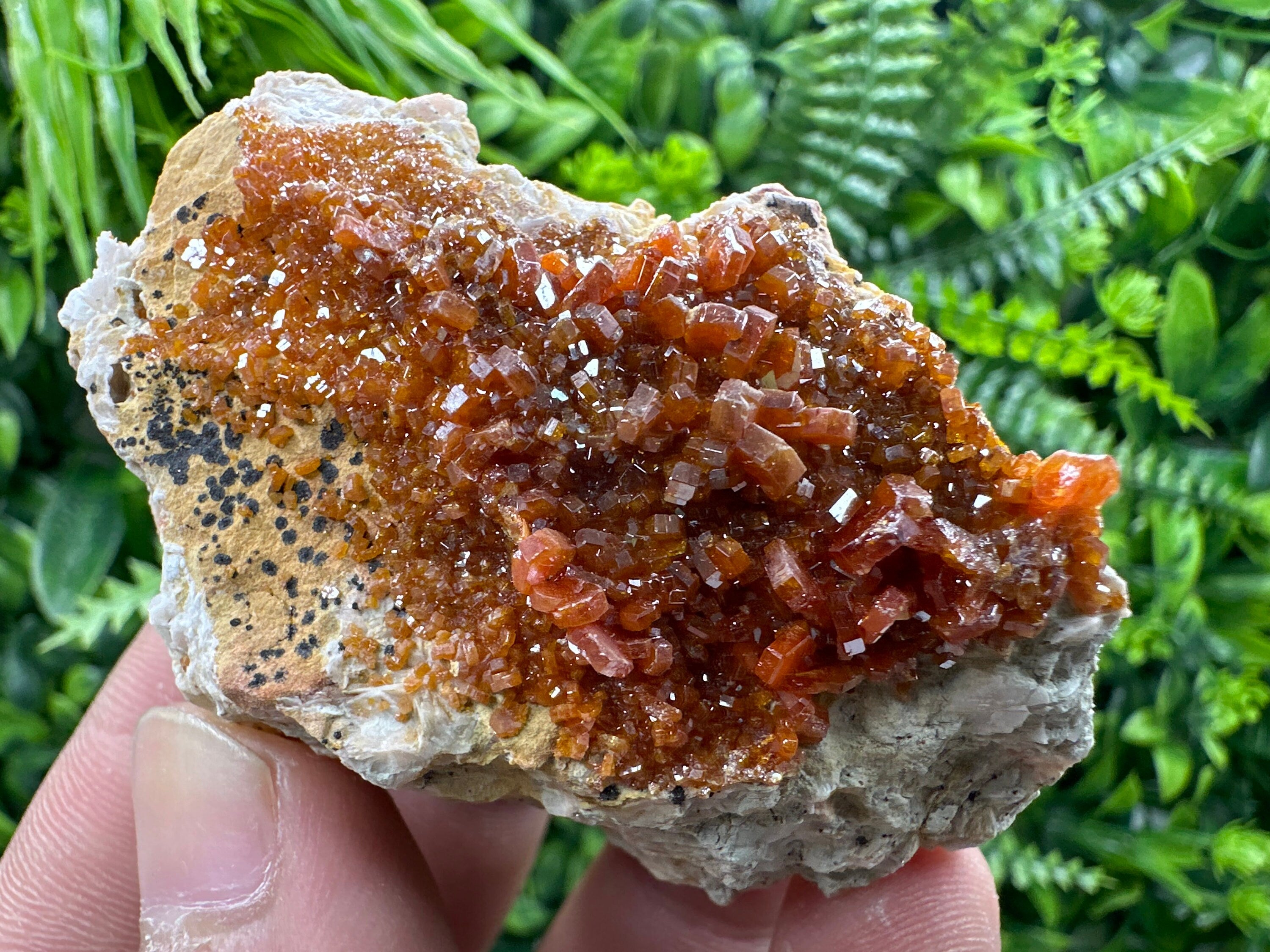 Red Vanadinite Crystal Cluster on Matrix, Morocco Mineral Specimen