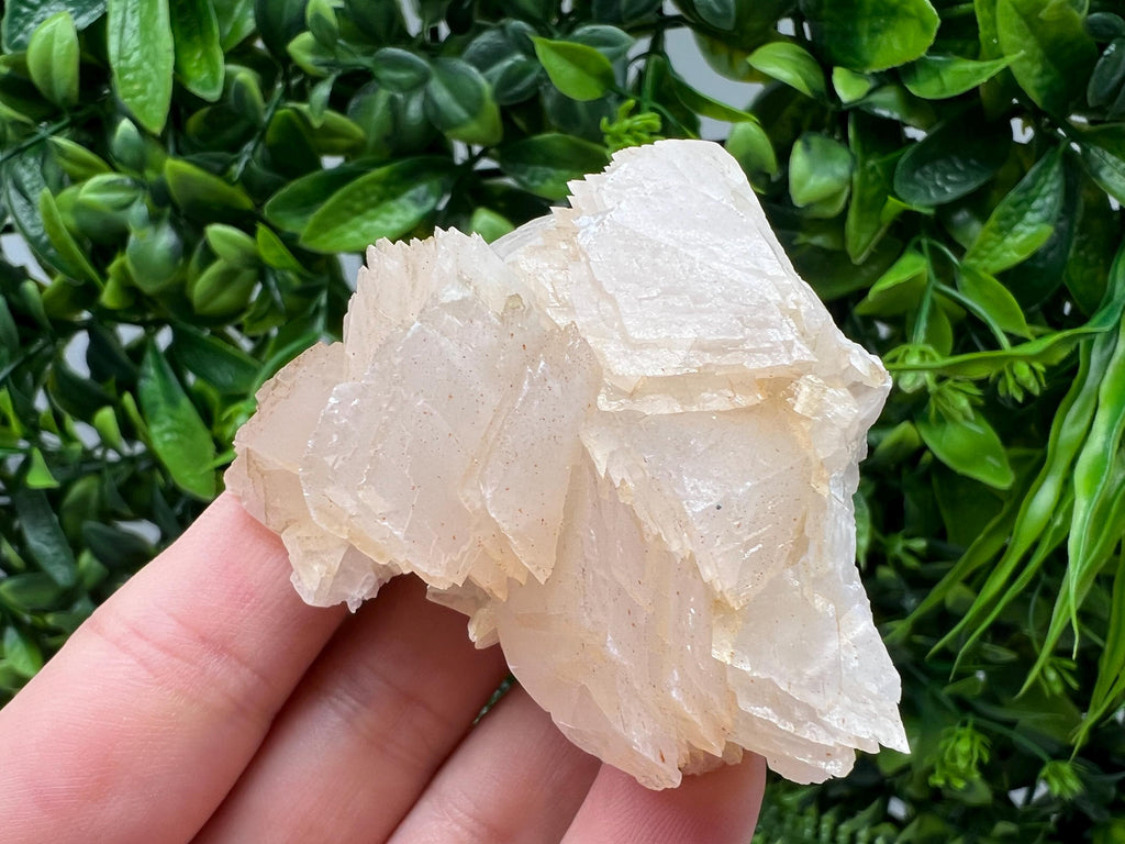 Calcite & Chlorite Crystal: Borieva Mine, Bulgaria