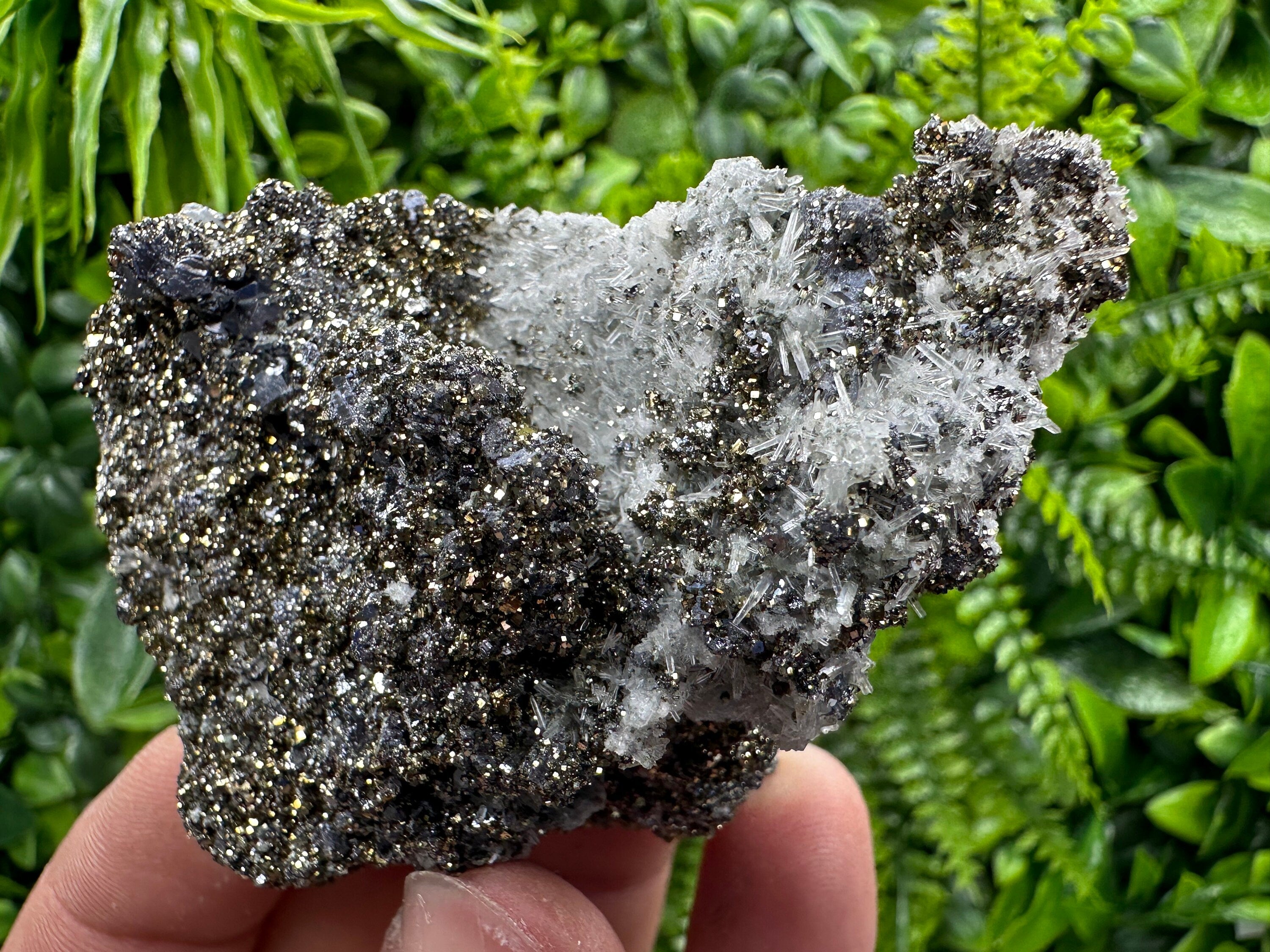 Galena Pyrite on Quartz Crystal Cluster - Borieva Mine, Bulgaria