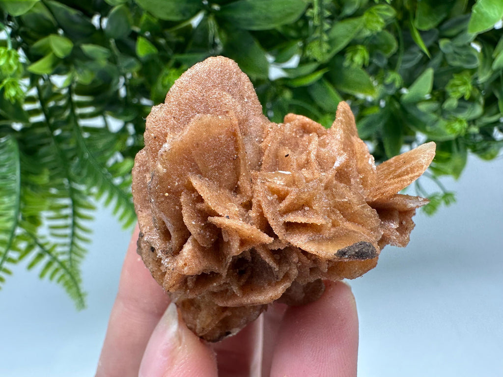 Desert Rose Crystal: Root Chakra Healing Selenite Stone