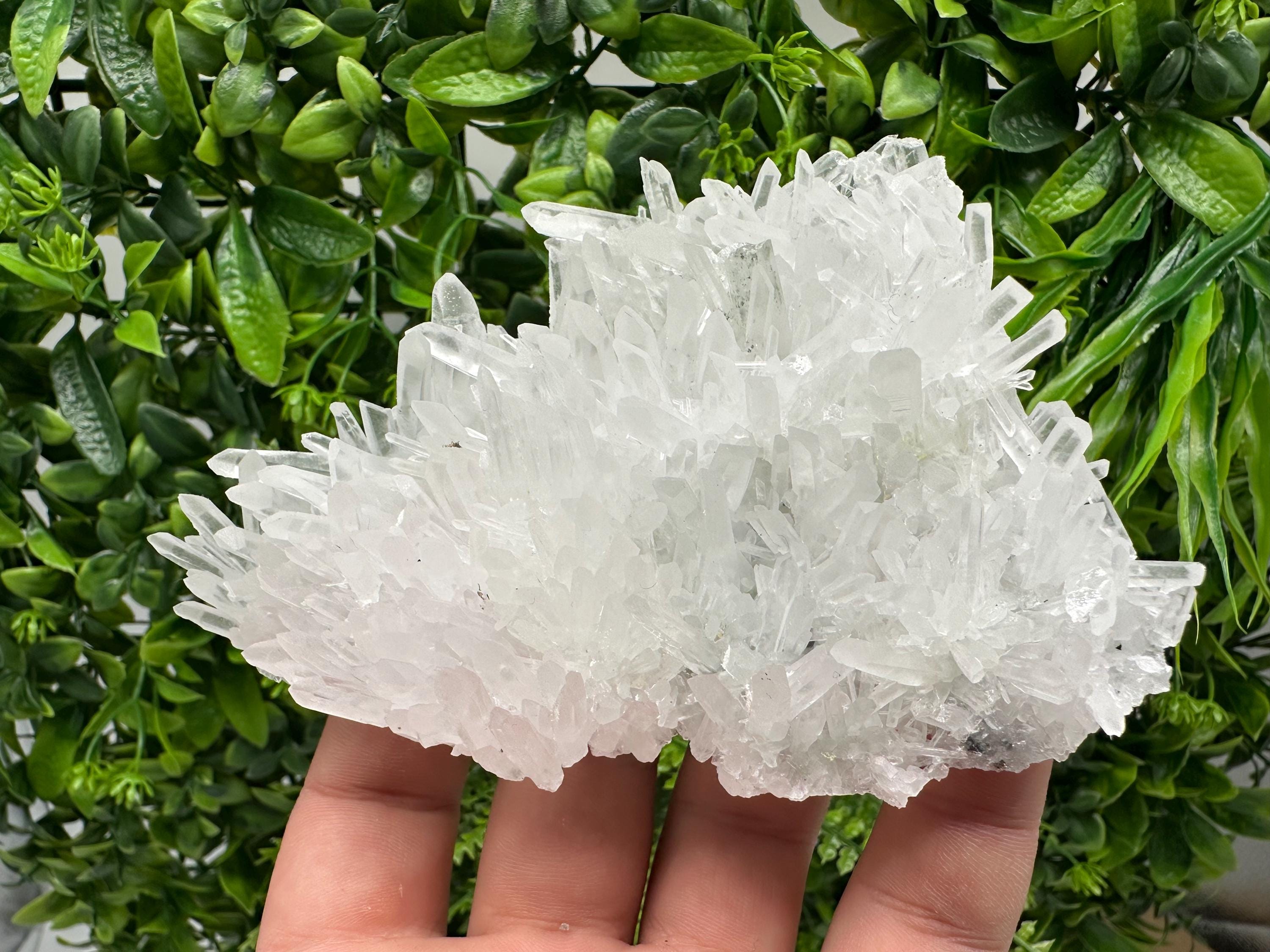 Stunning Transparent Quartz,from Borieva mine,natural collection mineral specimen rare crystal,home decor crystal,quartz cluster,Quartz,gift