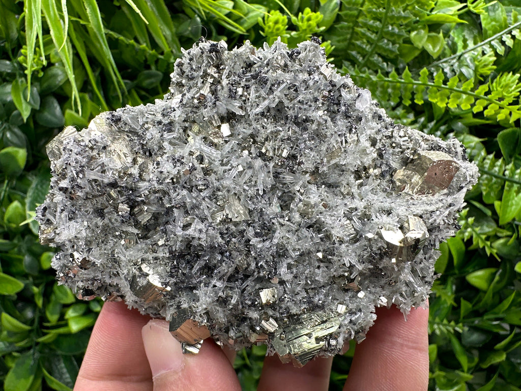 Pyrite on Quartz Needles: Borieva Mine Bulgaria Crystal Decor