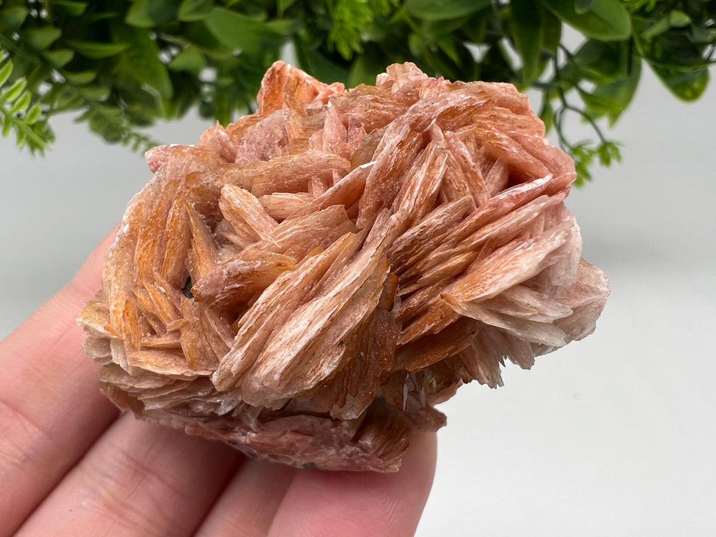 Wonderful Baryte with Cerussite on Galena from Morocco,Crystal, Mineral,Specimen,Cluster,Crystals,Barite Crystal,Cerussite Crystal,Specimen