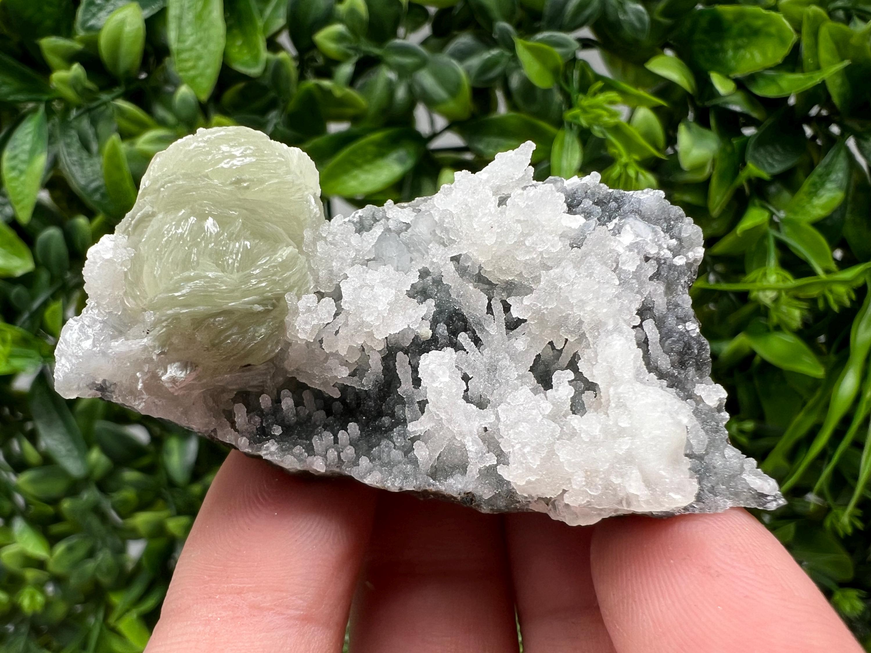 STUNNING Transparent Apophyllite on Chalcedony,natural, collection minerals specimen,India Minerals,Crystal, Stone Mineral Specimens India