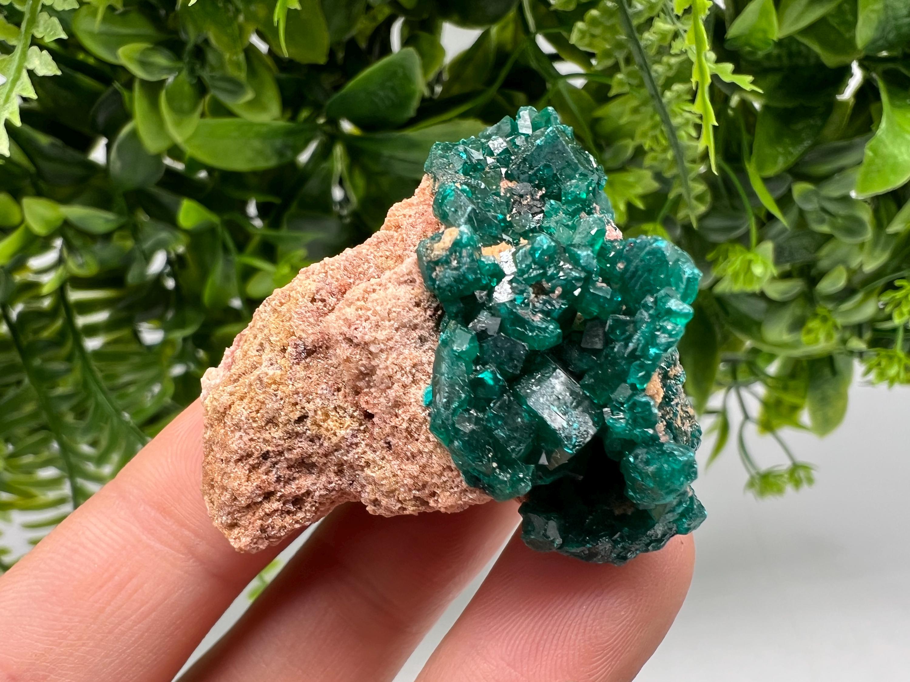 Stunning Green Dioptase from Sanda Hills,Mindouli,Pool Department,Mindouli District,Congo,green Dioptase,Dioptas Crystal,Dioptase collecting