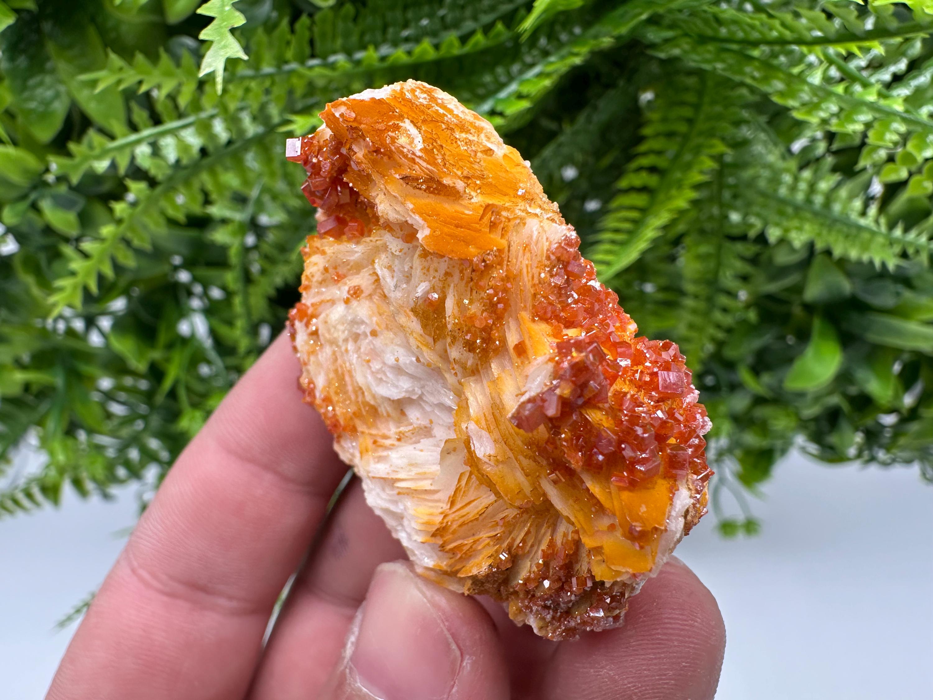 Red Vanadinite on Barite, Morocco Mineral Specimen