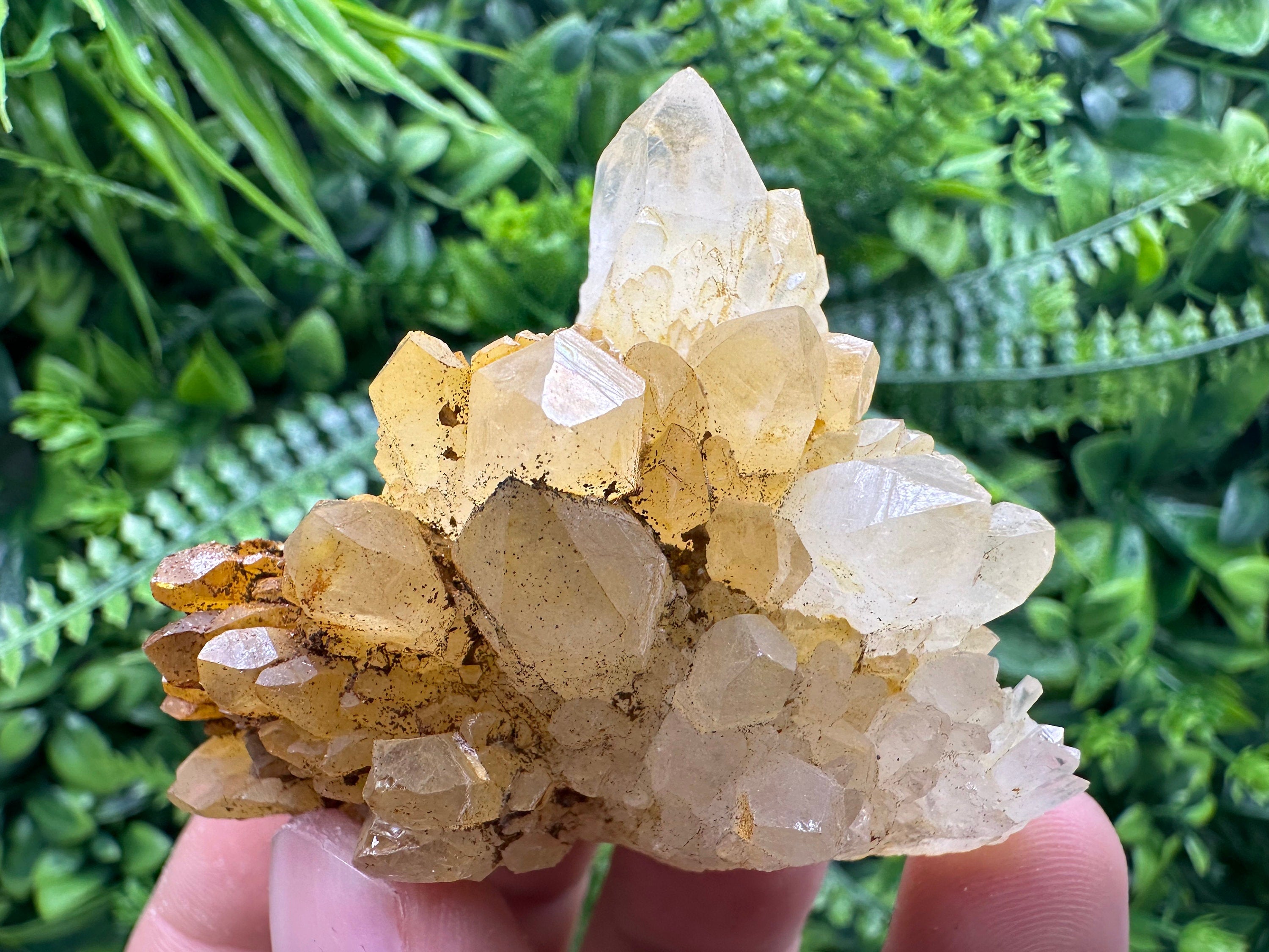 Transparent Quartz Cluster: Natural Mineral Specimen, Bulgaria