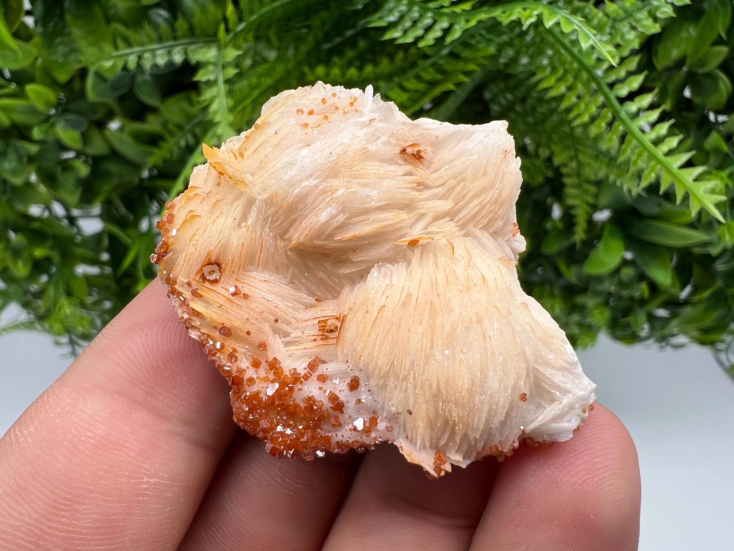 Red Vanadinite on Barite from Marocco,crystal minerals Speciment cluster Vanadinite crystal Vanadinite Geology Vanadinite cluster minerals