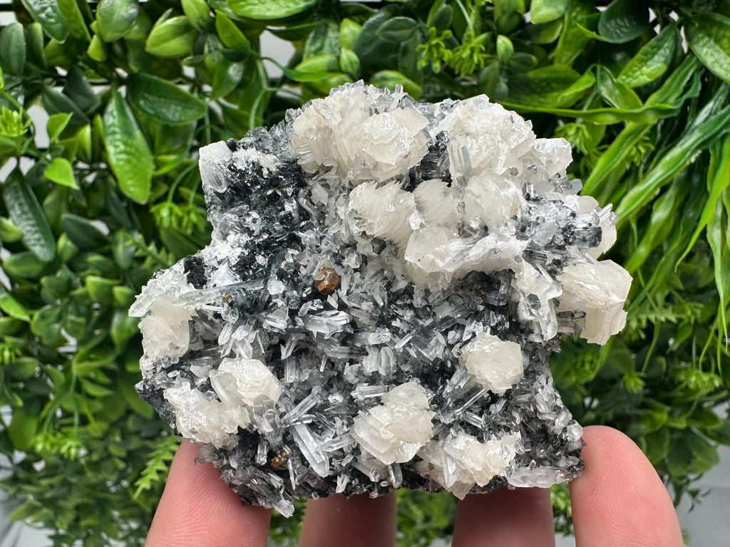 UV Fluorescence Calcite on Sphalerite Quartz, Borieva Bulgaria Mineral Specimen