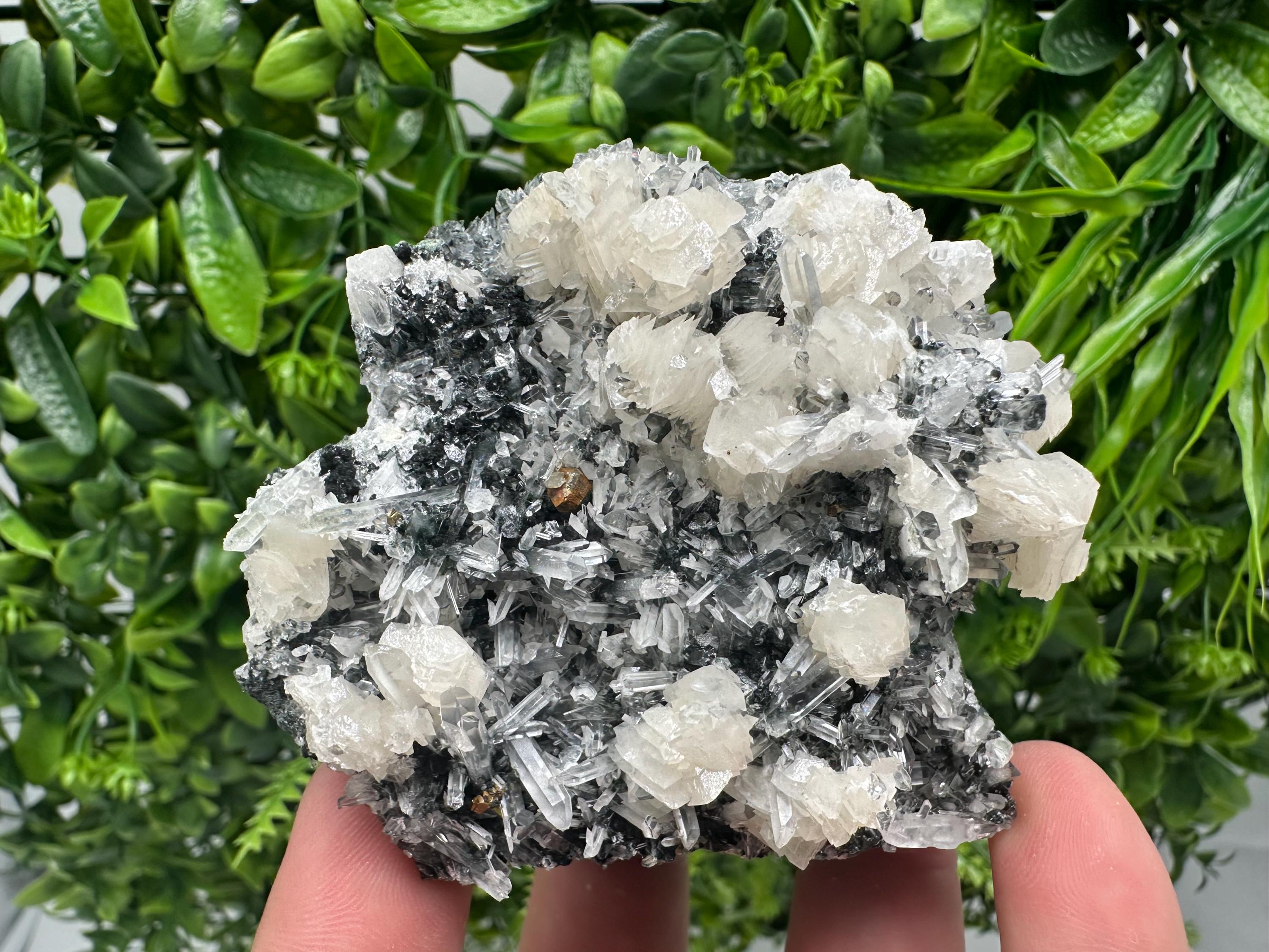 UV Fluorescence Calcite on Sphalerite Quartz, Borieva Bulgaria Mineral Specimen