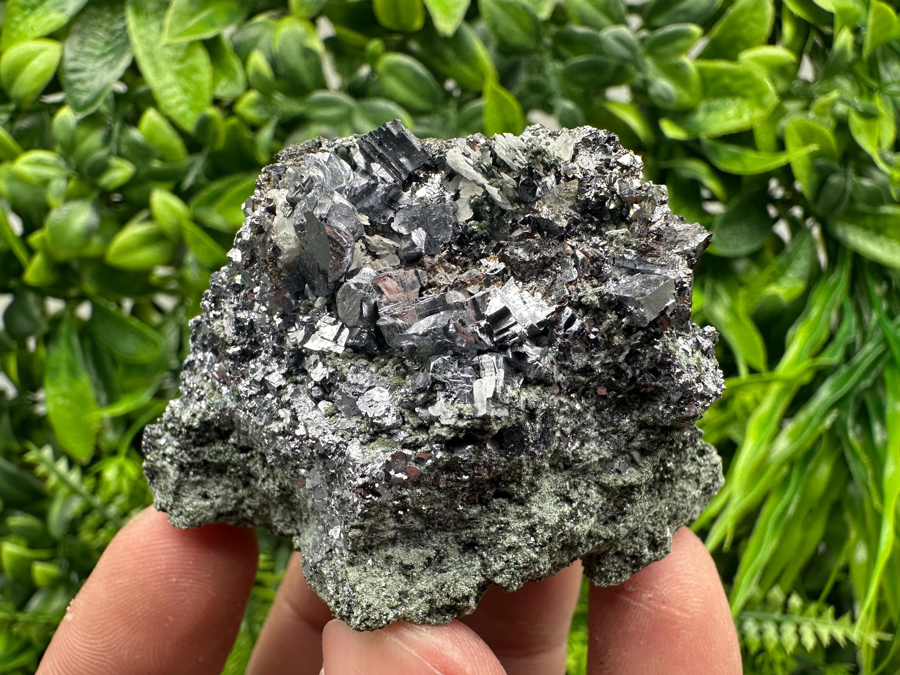 Skeletal Galena on Chlorite Matrix, Borieva Mine Mineral Specimen
