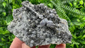 Galena with Sphalerite on Quartz, Borieva Mine, Bulgaria