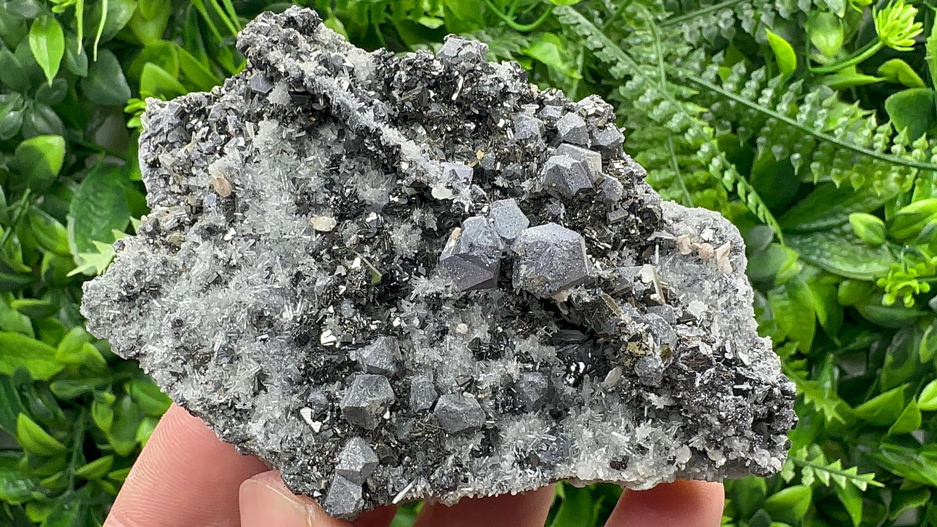 Galena with Sphalerite on Quartz, Borieva Mine, Bulgaria