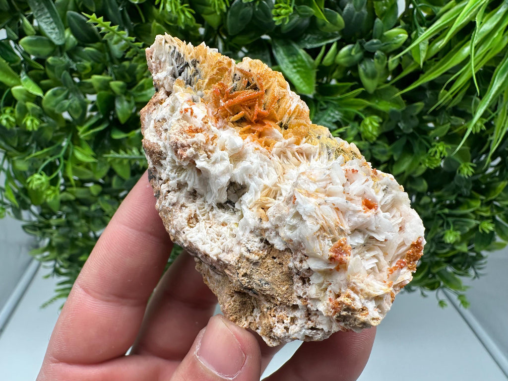 Red Vanadinite Crystal Cluster on Barite, Morocco Mineral Specimen