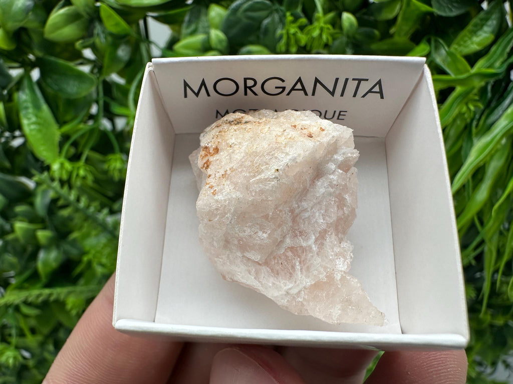 Rare Raw Morganite Specimen: Mozambique Crystal Collection (3/3.5cm)