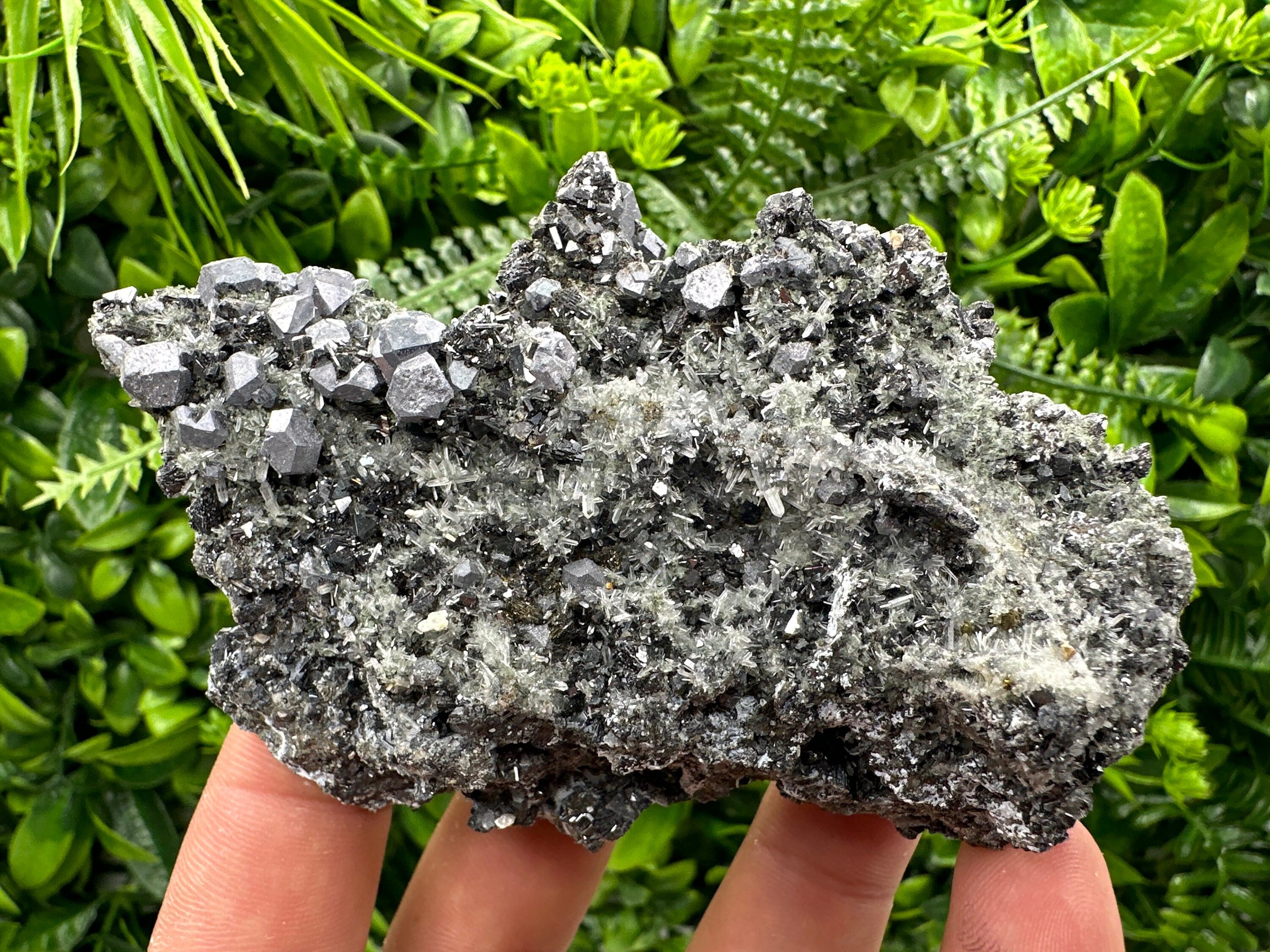 Sphalerite Pyrite on Quartz, Bulgaria Mineral Specimen (10/7/3.5 cm)