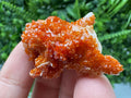 Red Vanadinite on Barite Cluster, Morocco Mineral Specimen