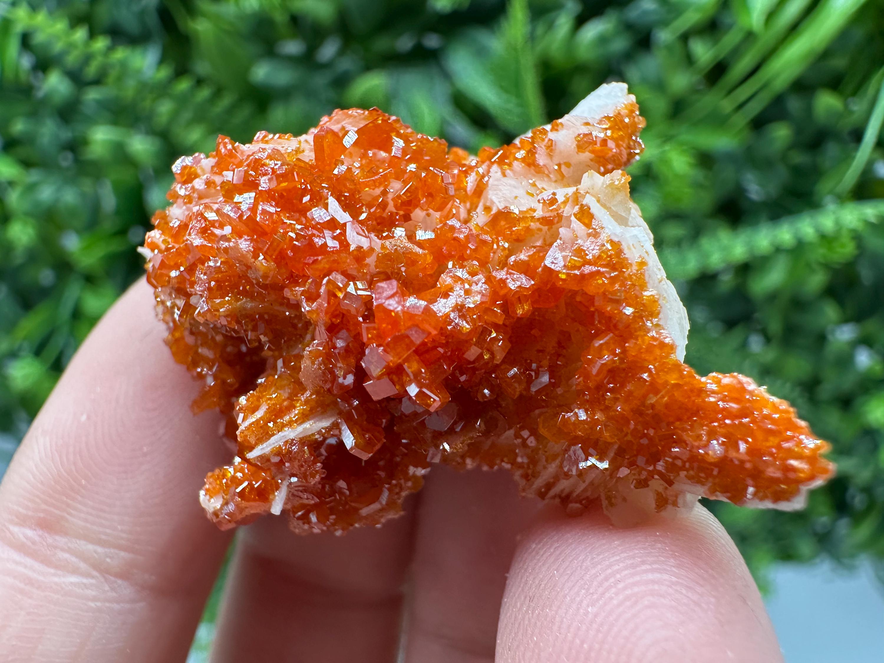 Red Vanadinite on Barite Cluster, Morocco Mineral Specimen