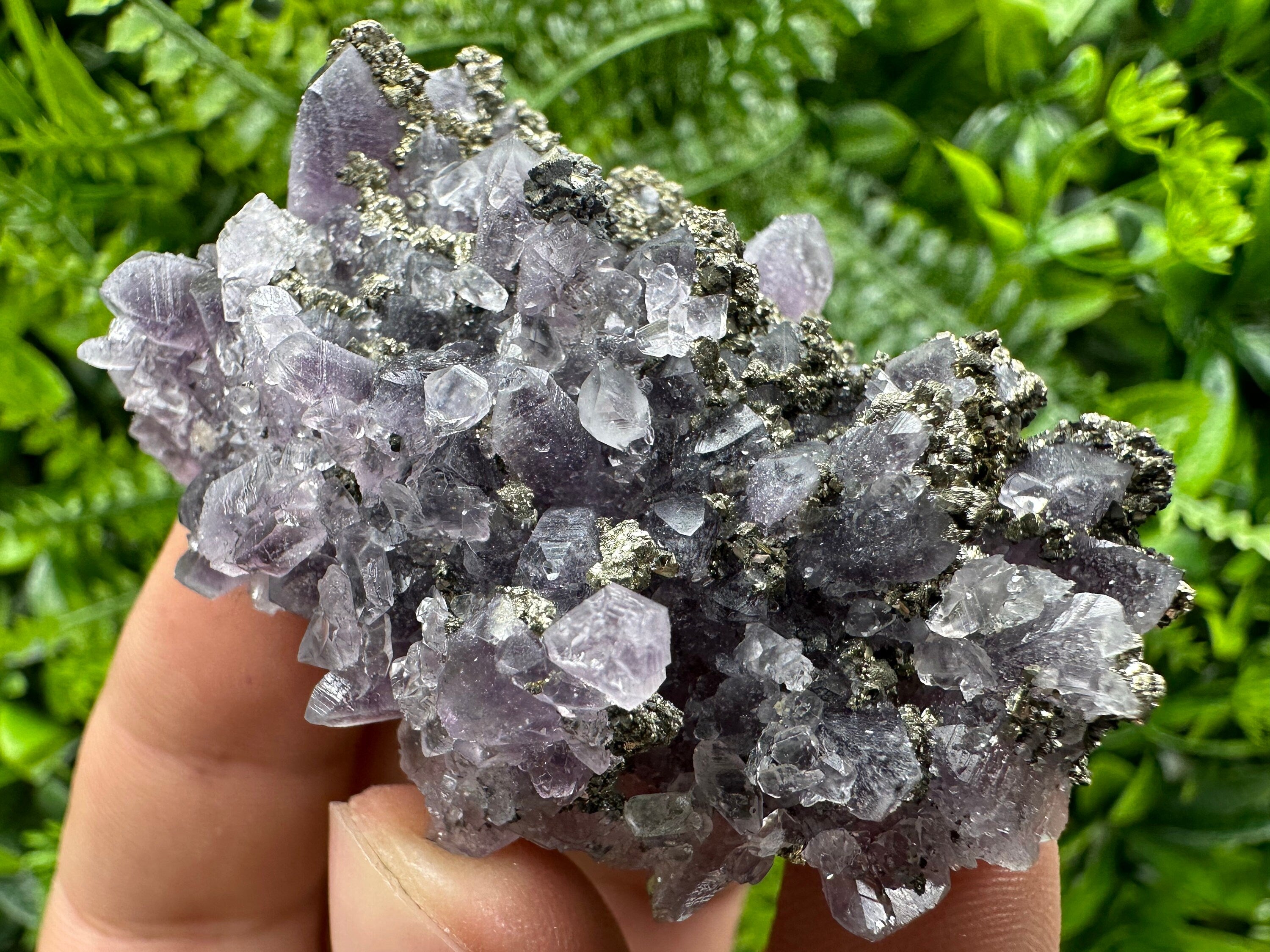 Amethyst with Pyrite: Natural Crystal Mineral Souvenir
