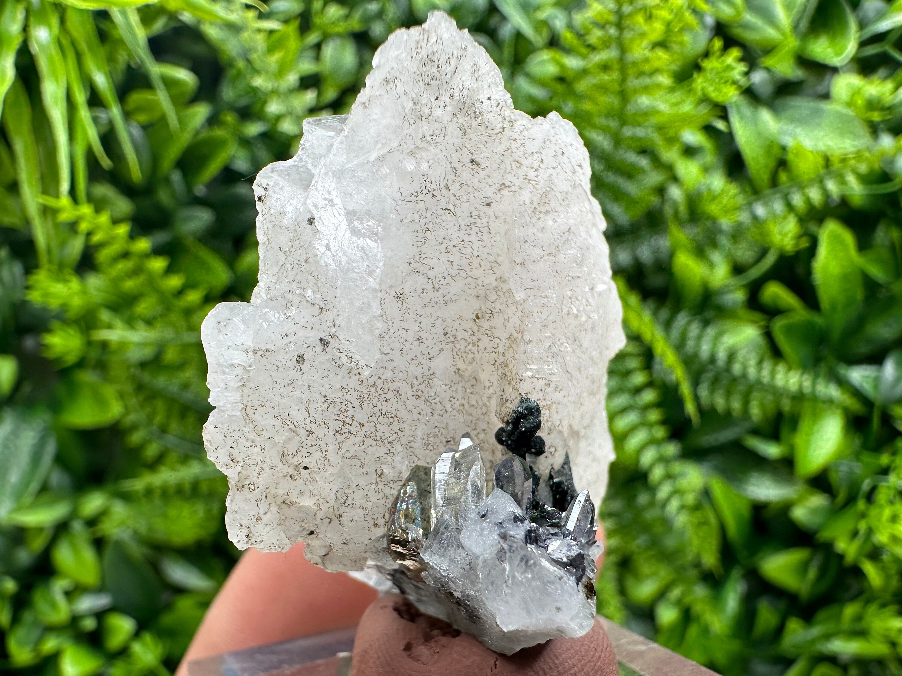 Mangano Calcite Wing on Quartz with Pyrite, Madan Bulgaria Mineral Specimen