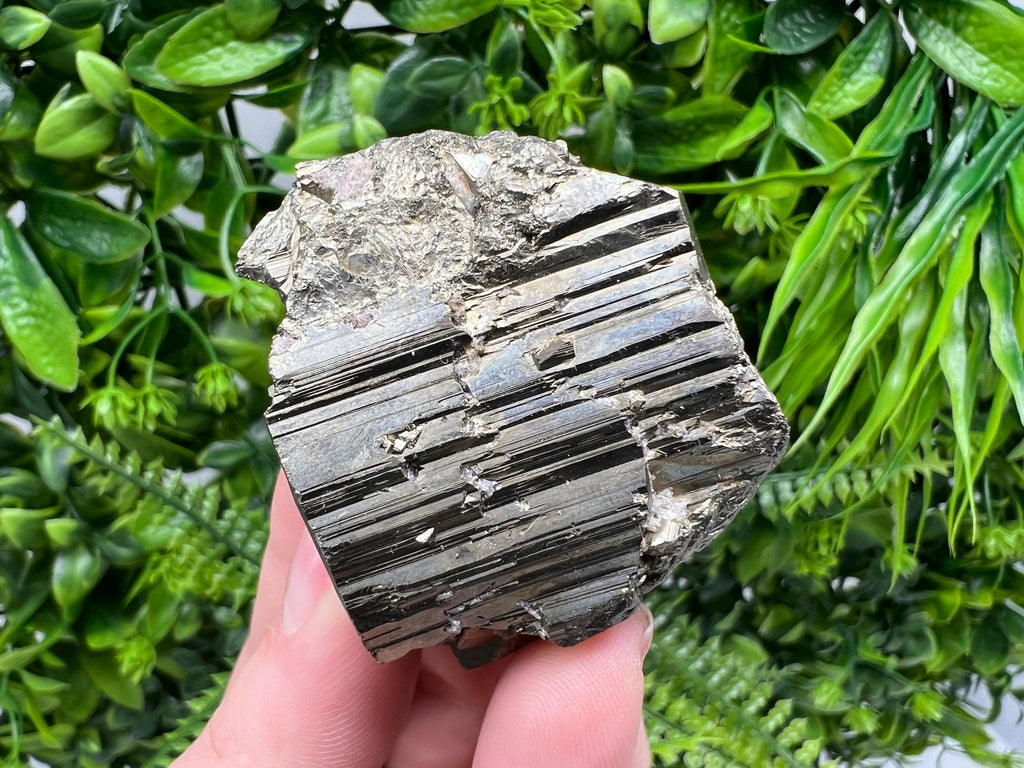 Shiny Pyrite Cluster, Borieva Mine, Bulgaria, Crystal Specimen