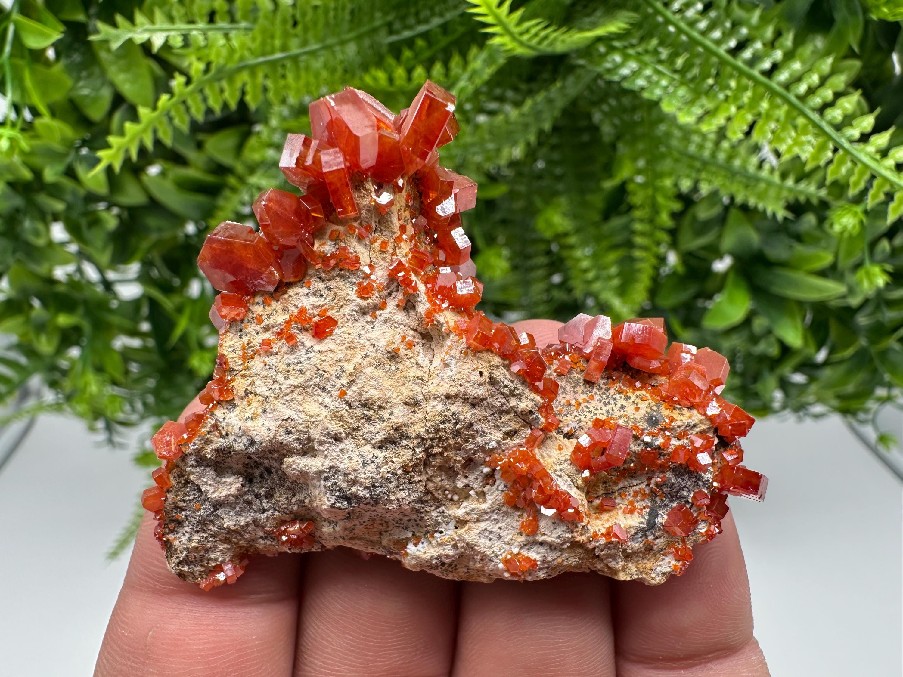 Red Vanadinite on Barite from Marocco,crystal minerals Speciment cluster Vanadinite crystal Vanadinite Geology Vanadinite cluster minerals