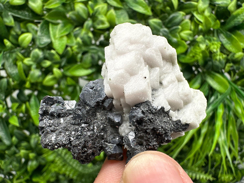 Galena Sphalerite Mineral Specimen: Calcite, Borieva Mine, Bulgaria