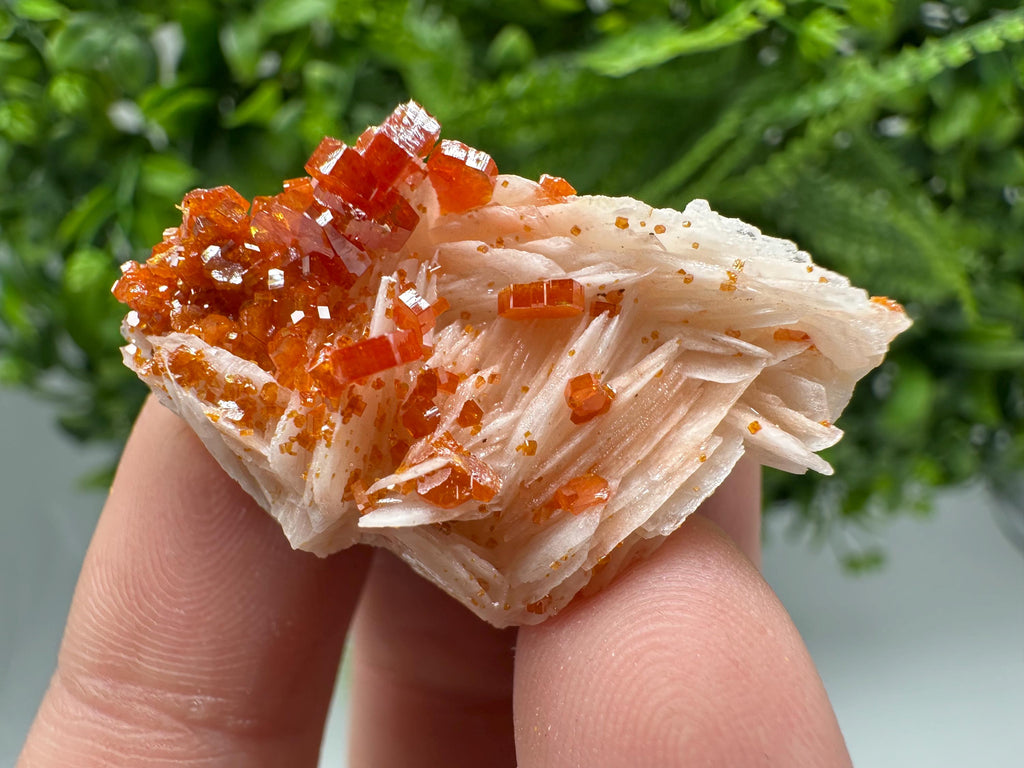 Red Vanadinite on Barite Specimen, Moroccan Crystal Cluster