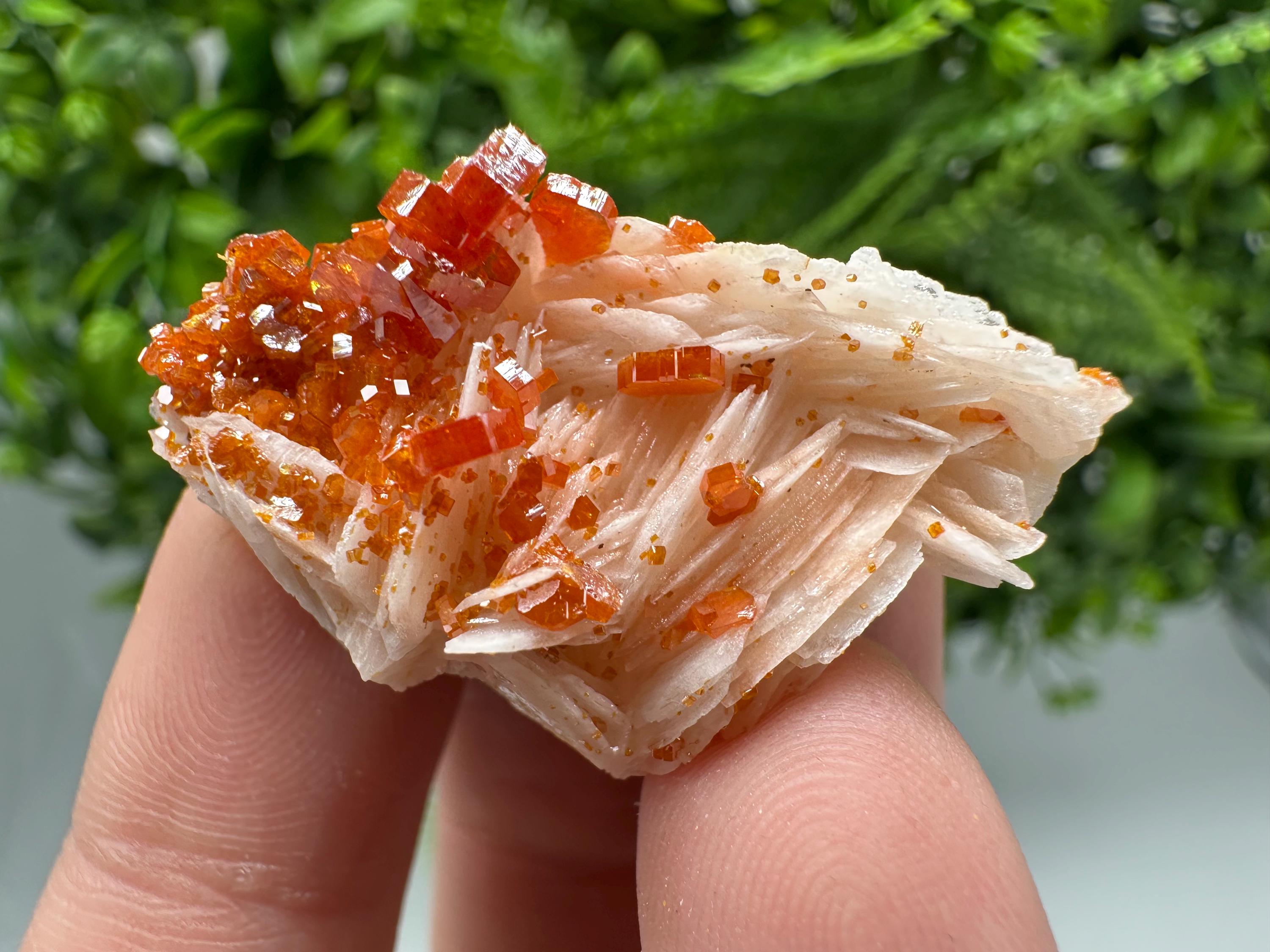 Red Vanadinite on Barite Specimen, Moroccan Crystal Cluster