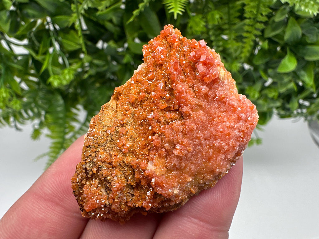Red Vanadinite on Barite from Marocco,crystal minerals Speciment cluster Vanadinite crystal Vanadinite Geology Vanadinite cluster minerals