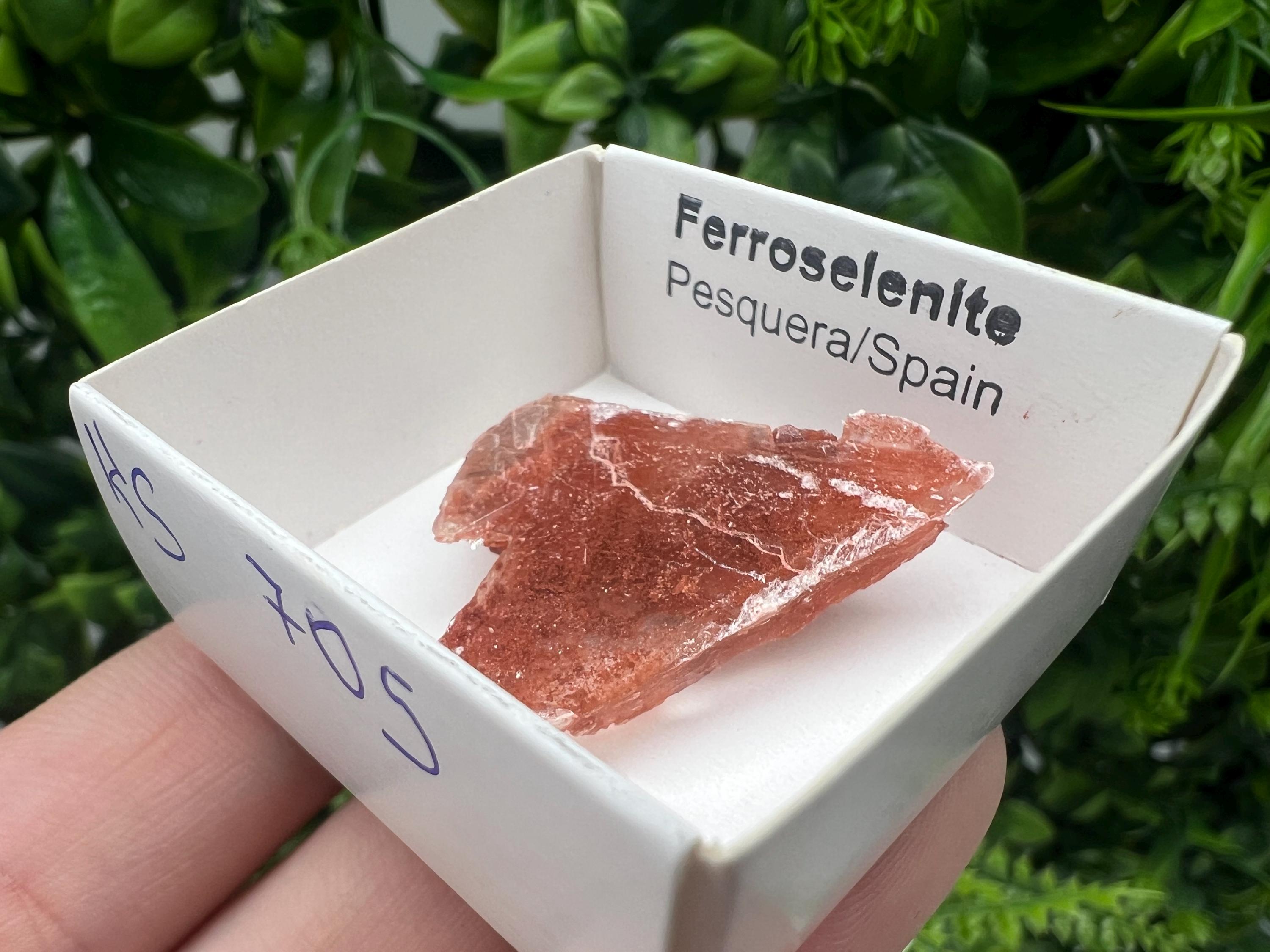 Rare Ferroselenite Crystal Specimen: La Pesquera, Spain (3/3 cm