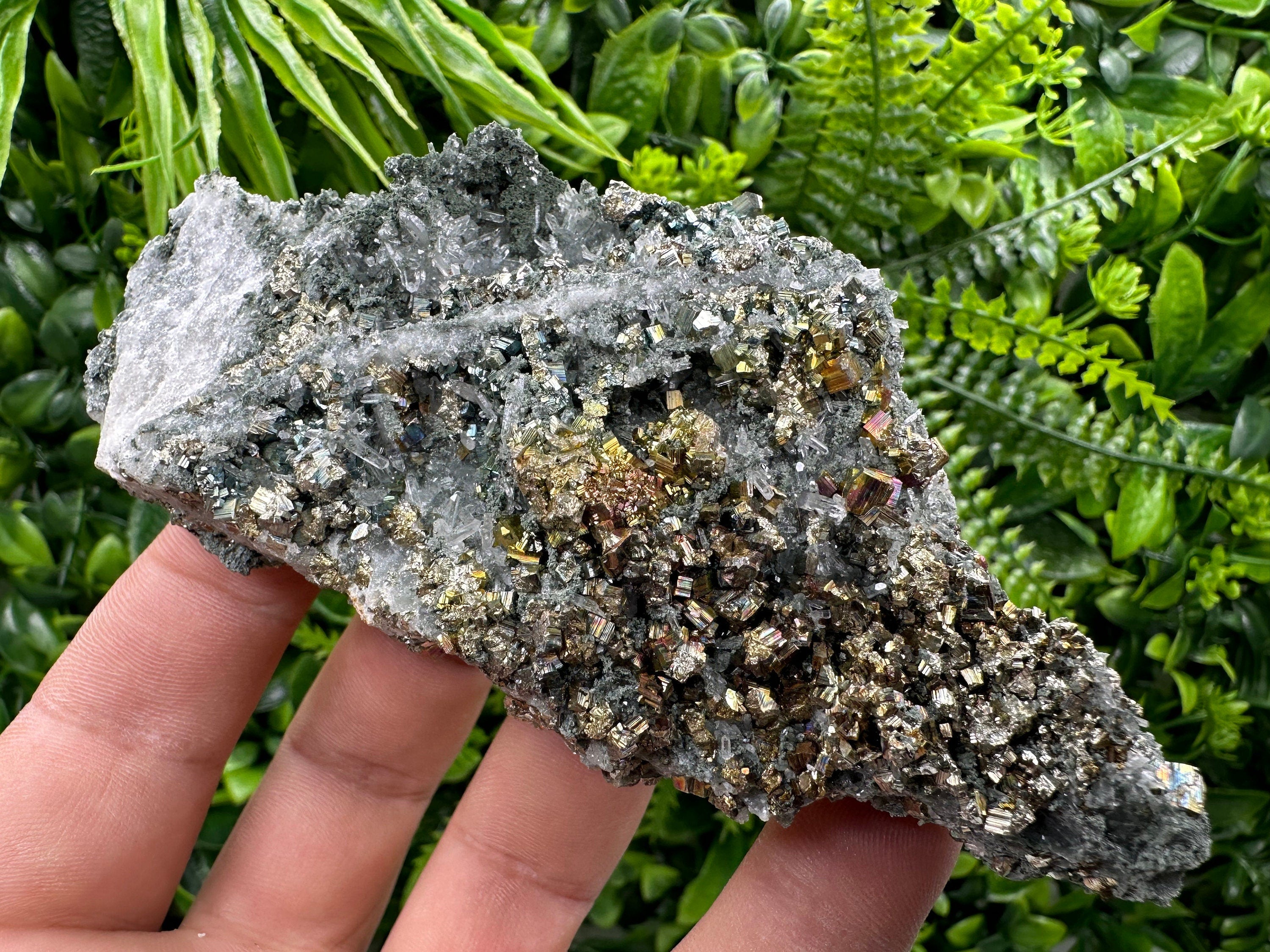 Pyrite on Green Quartz, Borieva Mine Bulgaria, Home Decor Stone