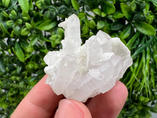Calcite on Green Quartz: Djurcovo Mine, Bulgaria Healing Crystal