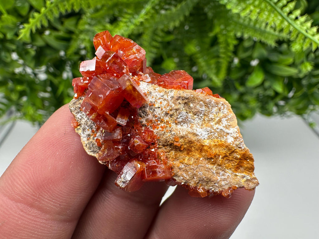 Red Vanadinite on Barite from Marocco,crystal minerals Speciment cluster Vanadinite crystal Vanadinite Geology Vanadinite cluster minerals